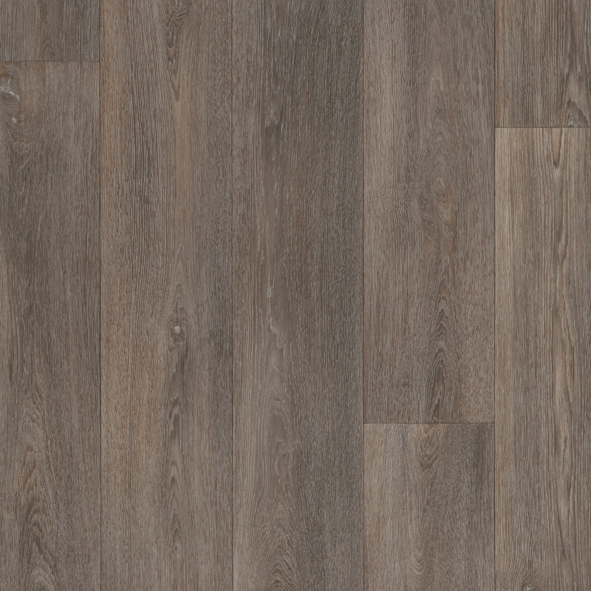 Home Front-Idaho-VG065_00527