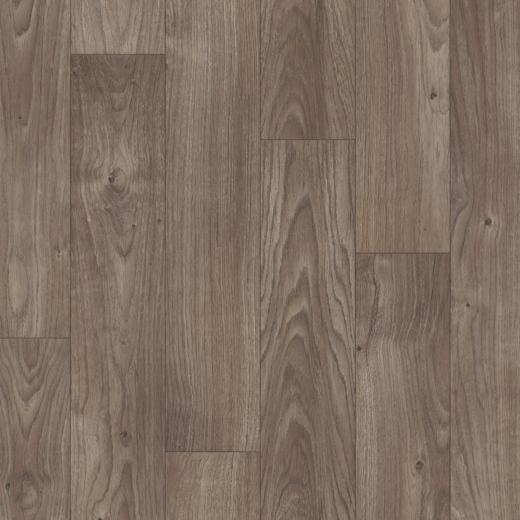 Home Front-Fargo-VG065_00577