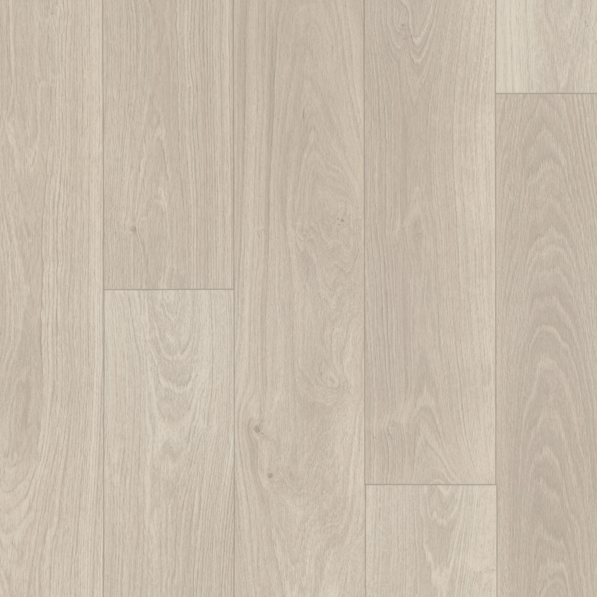 Sublime Vision-Pegasus-VG090_01067