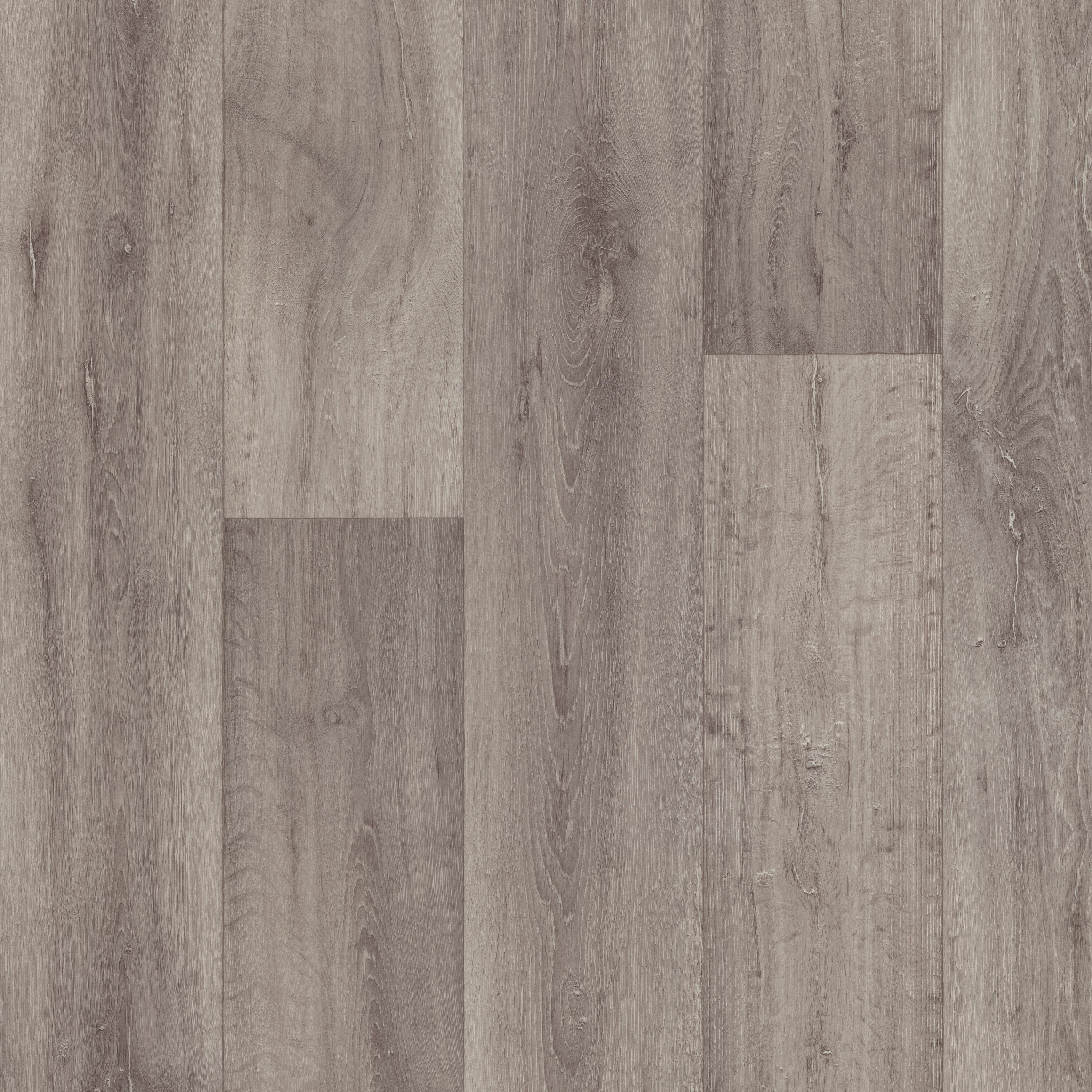 Sublime Vision-Norma-VG090_05031