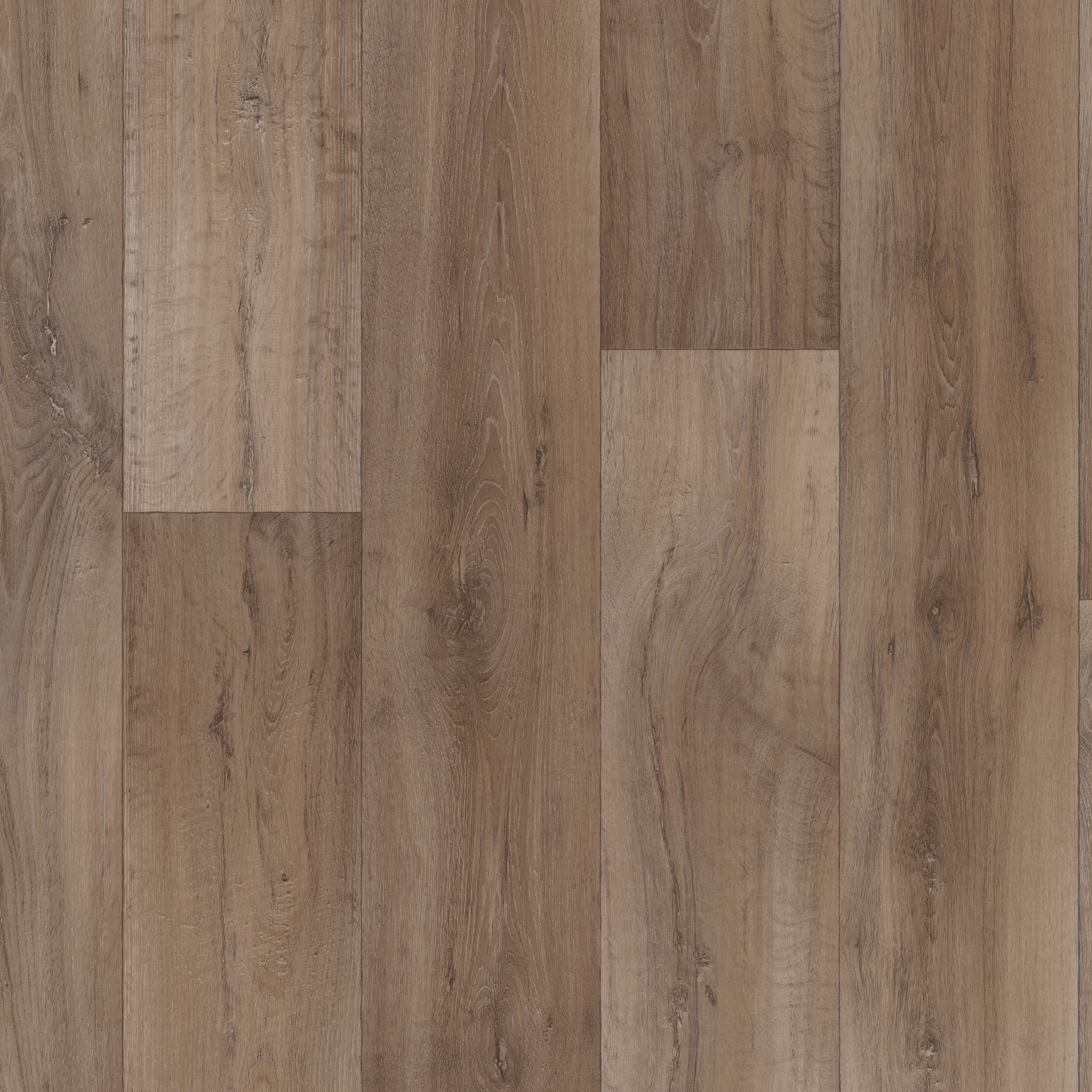 Sublime Vision-Pavo-VG090_07037