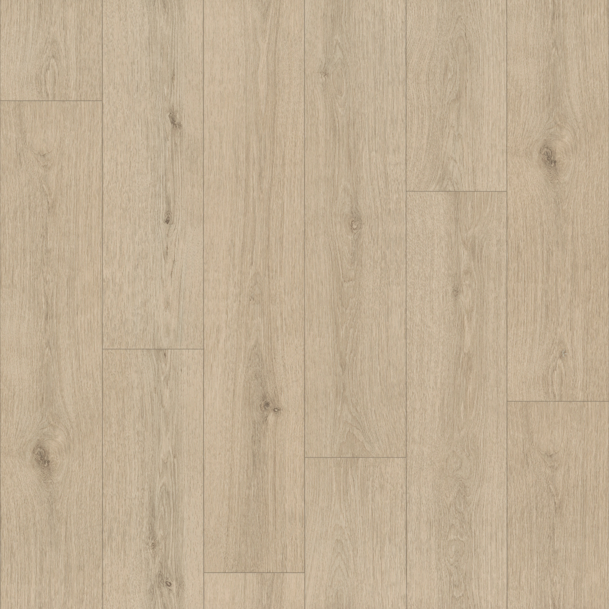 Limitless 2-Flaxen-VG094_02097