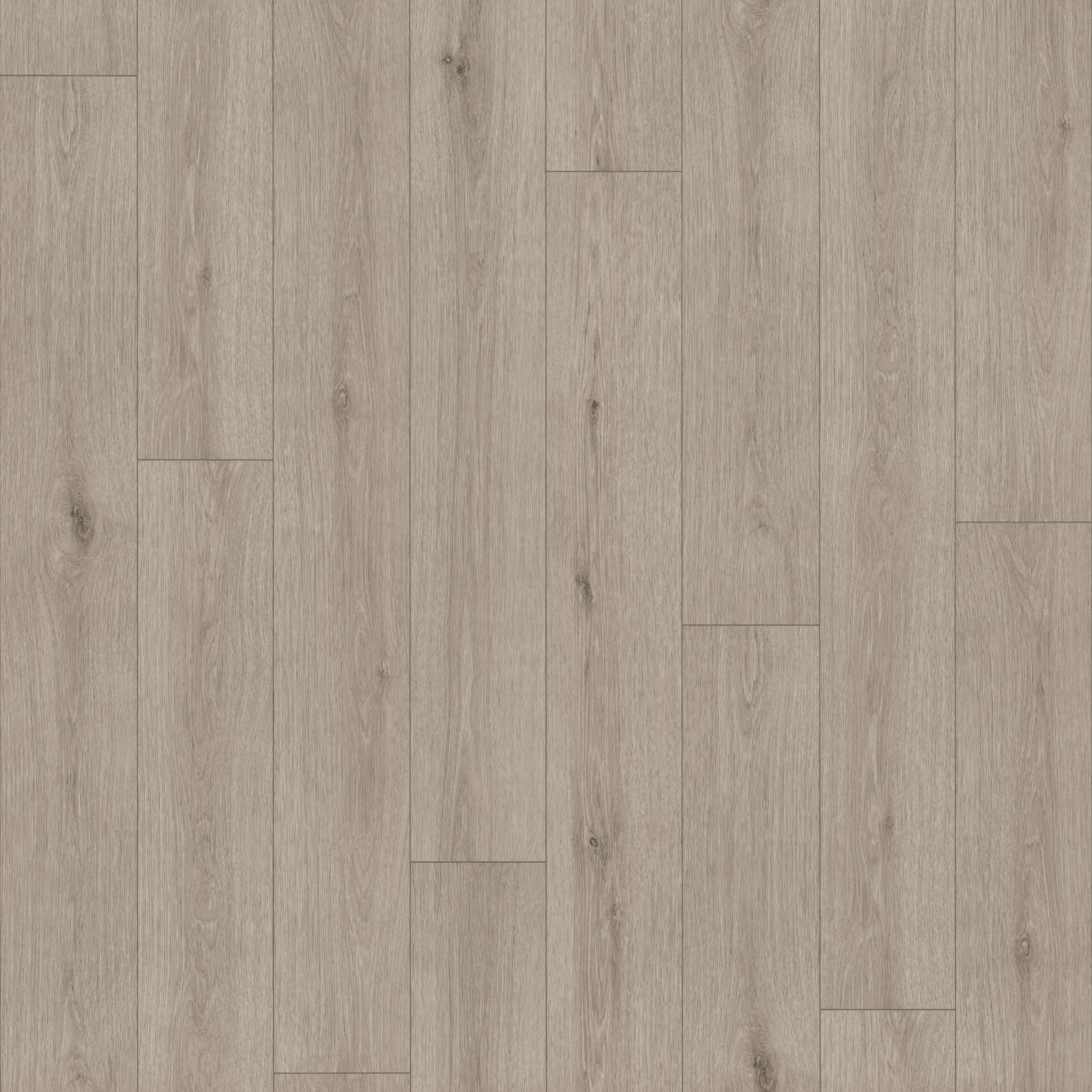 Limitless 2-Mushroom Grey-VG094_05223