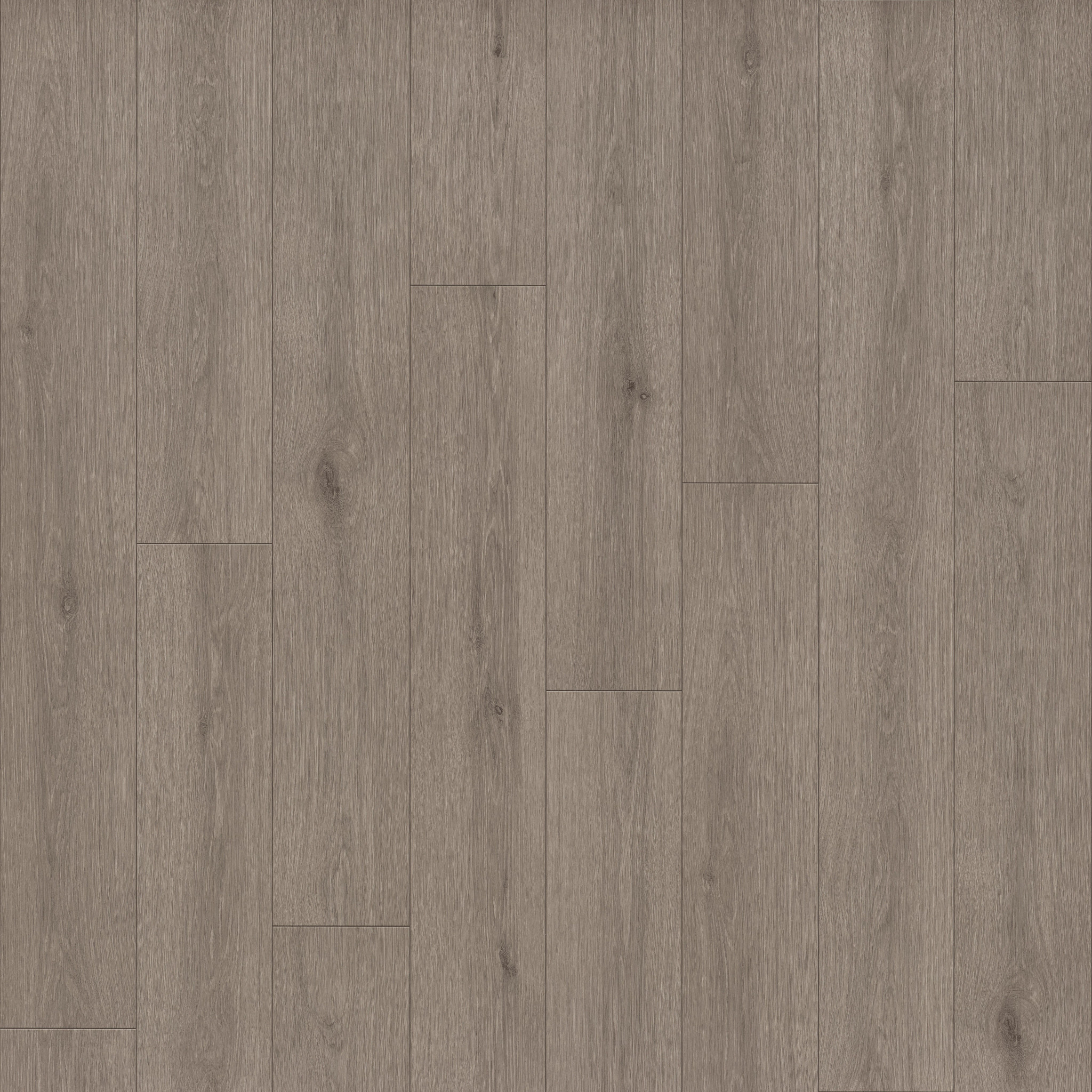 Limitless 2-Pebble Grey-VG094_05225