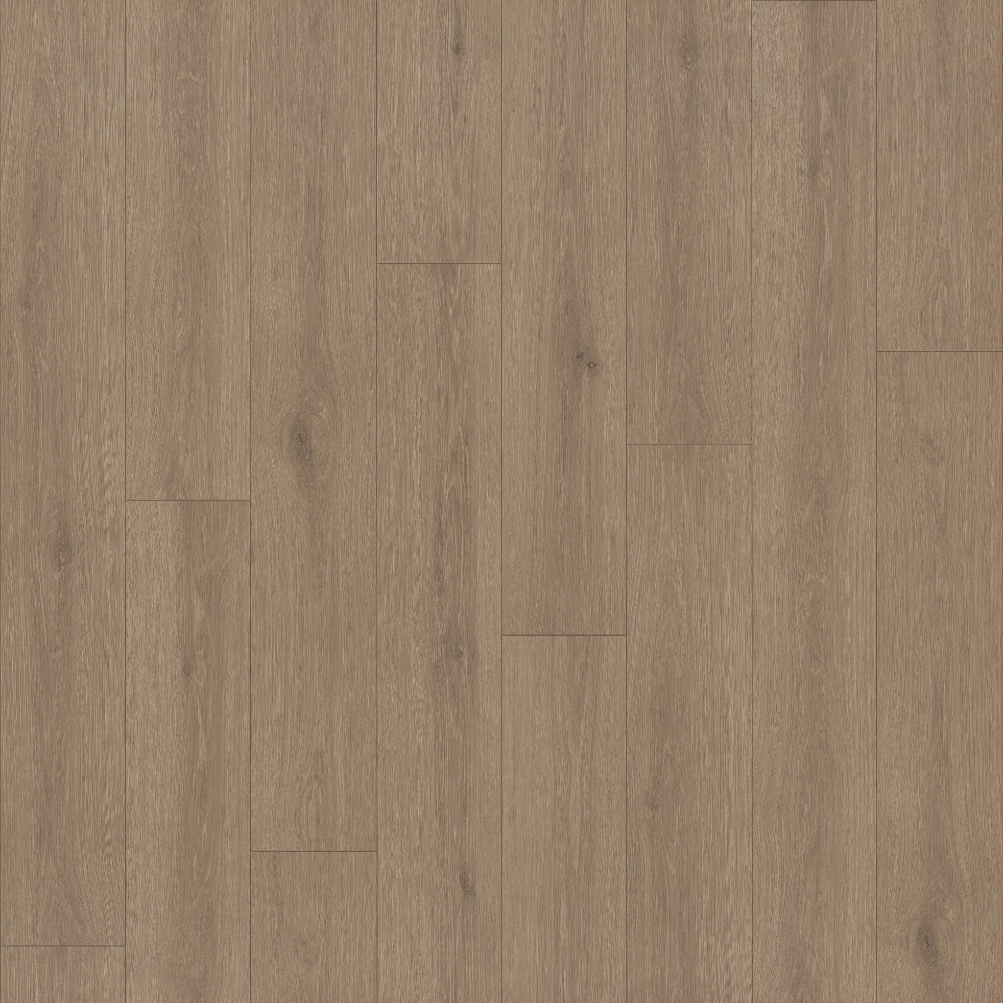 Limitless 2-Toffee Brown-VG094_07311