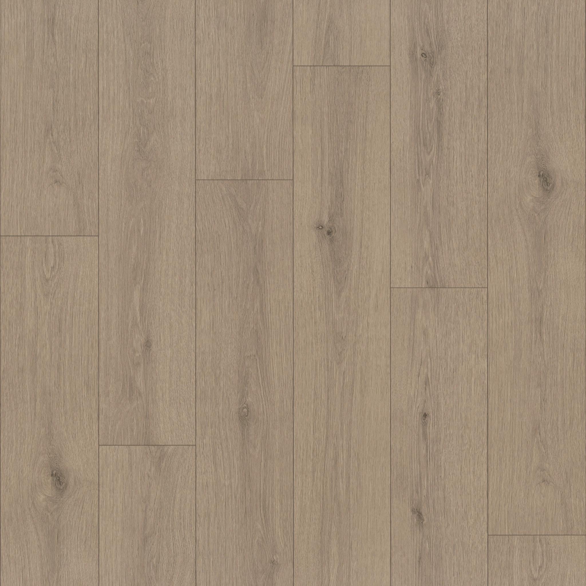 Limitless 2-Hazelwood-VG094_07312