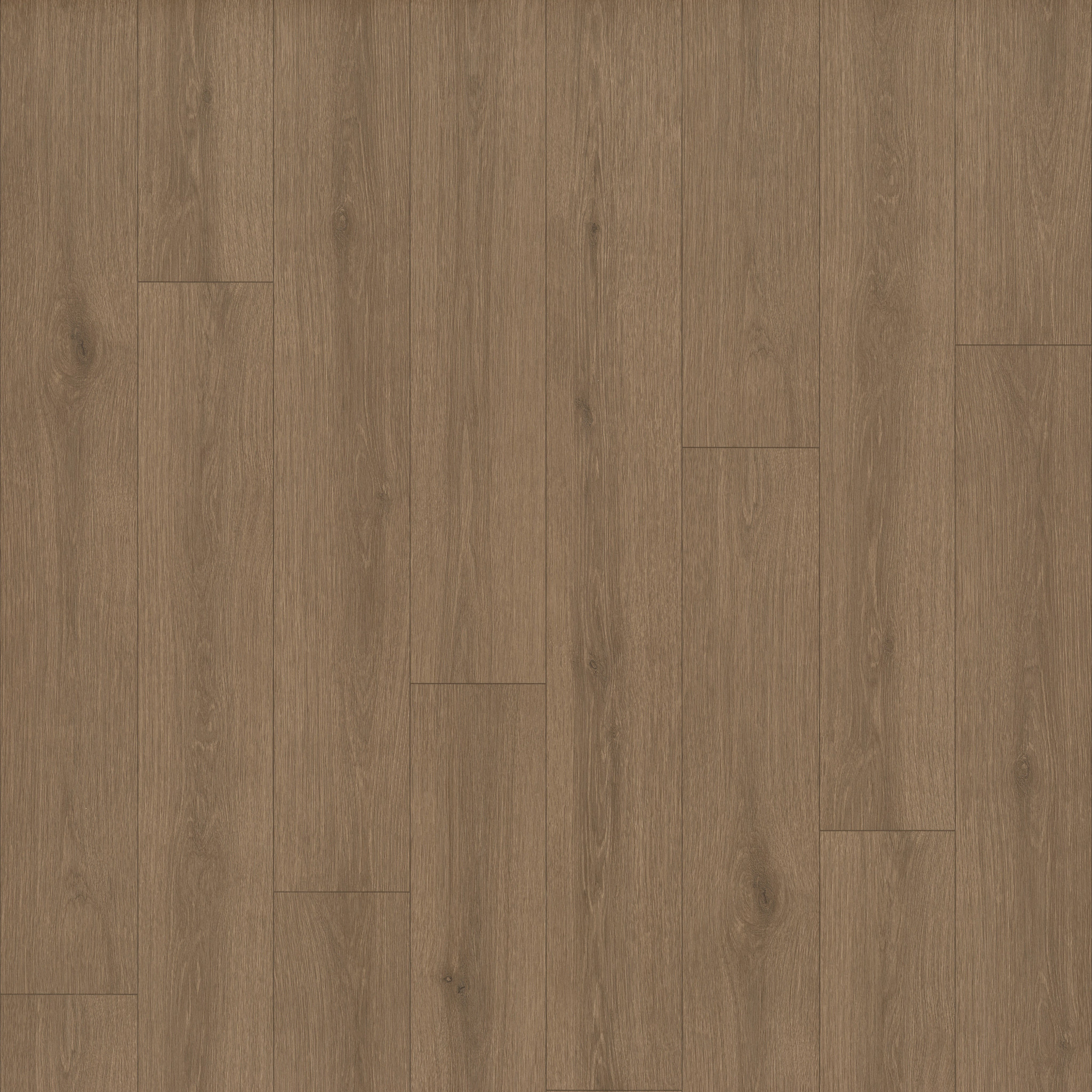 Limitless 2-Sepia Brown-VG094_07313