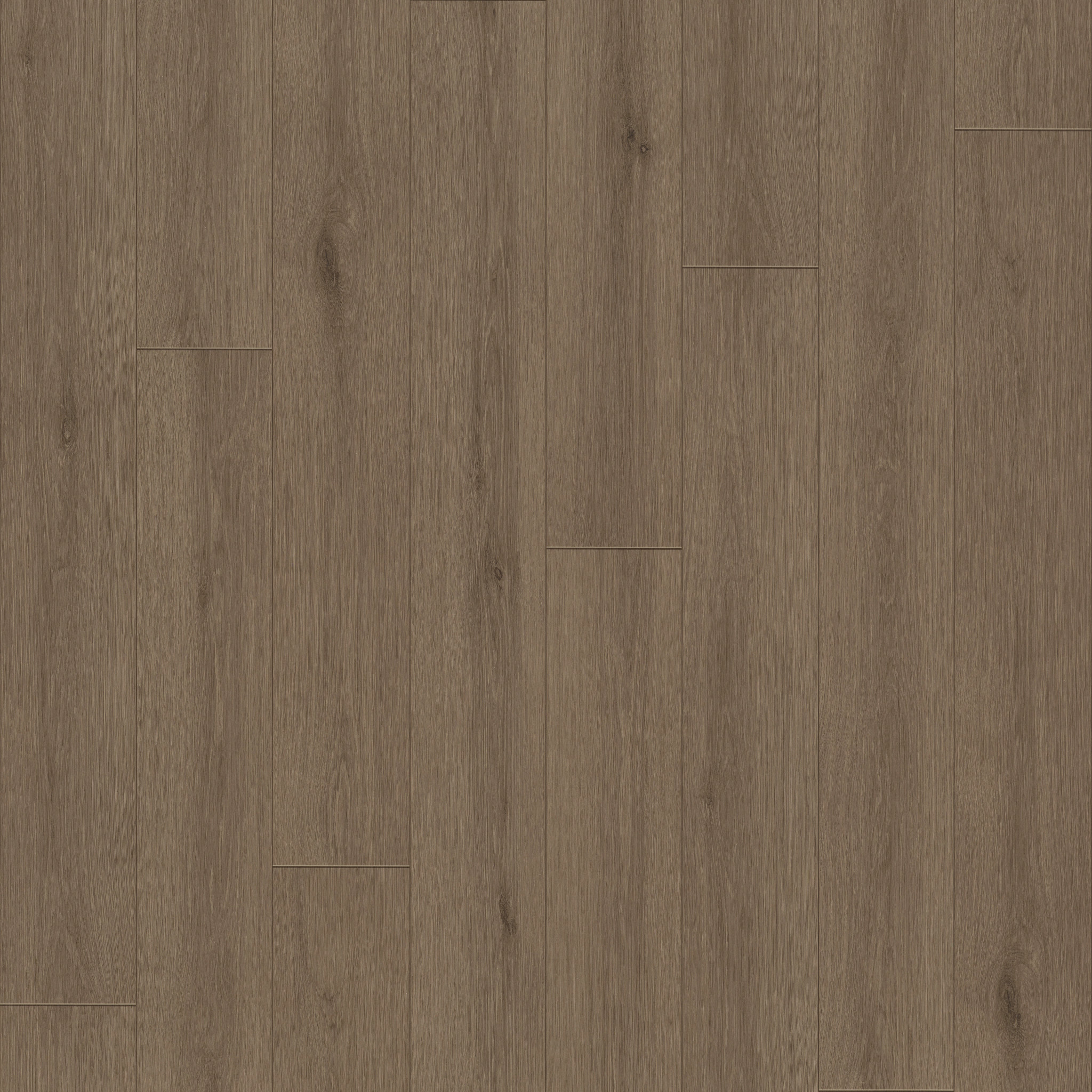 Limitless 2-Autumn Brown-VG094_07314