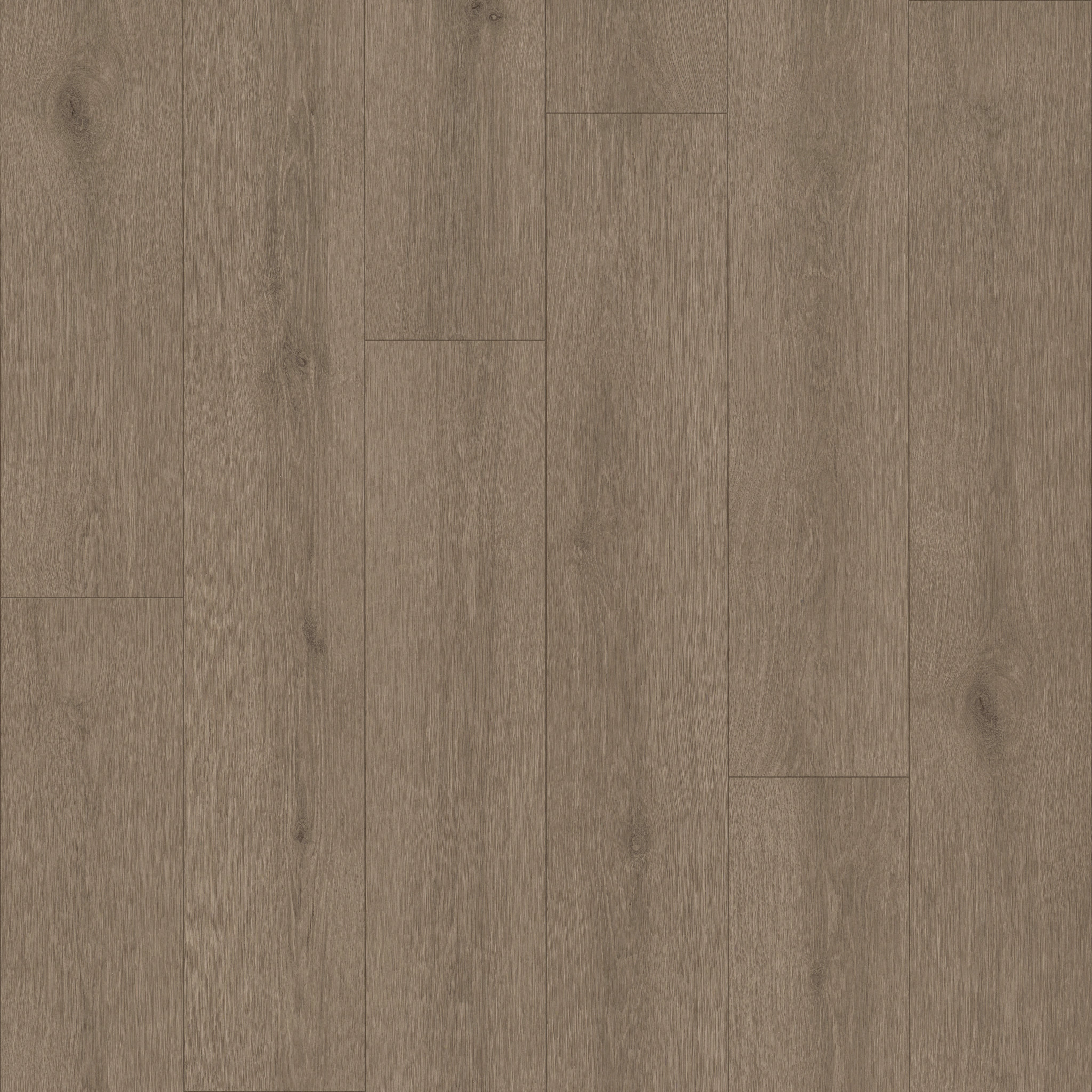 Limitless 2-Smoky Taupe-VG094_07315