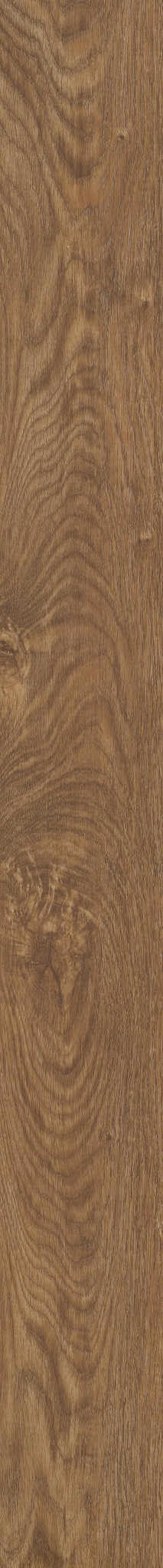 COREtec Originals - Northwoods Oak