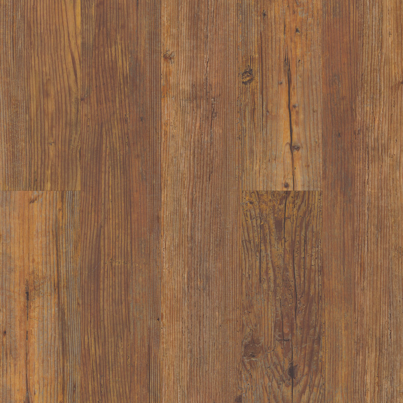 CORETEC ORIGINALS CLASSICS — CAROLINA PINE in Carolina Pine by COREtec
