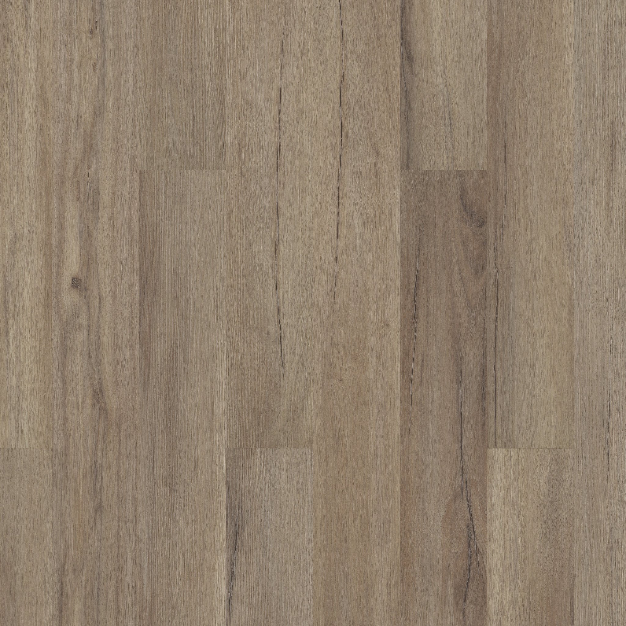 javaウッド ZX132 Serene Oak (old PZ611) Interior Film - Rich Wood