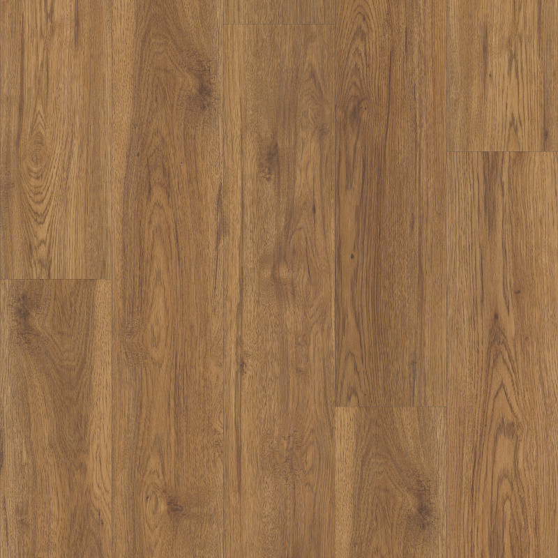 CORETEC ORIGINALS CLASSICS — MARSH OAK in Marsh Oak by COREtec