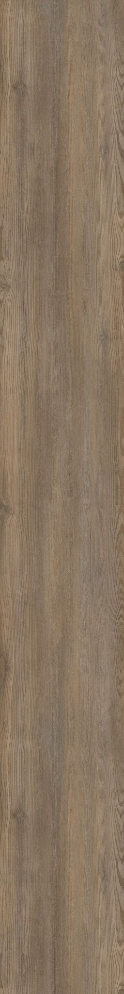 LP450　ベルツリー EXMARK OEM 135-5774-SL BELT ORIGINAL LAZER AS AC ASX E S X