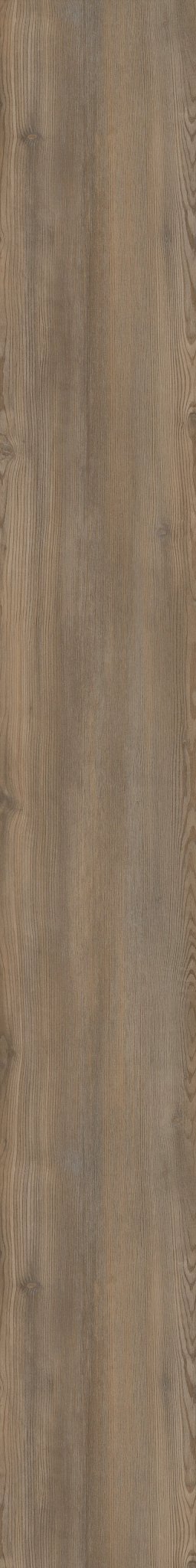 COREtec Originals - Treasure Pine - Customer Favorite