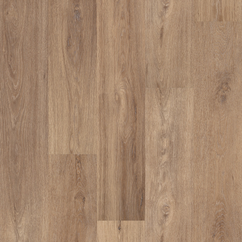 CORETEC PRO ENHANCED — LYRIC OAK in Lyric Oak by COREtec
