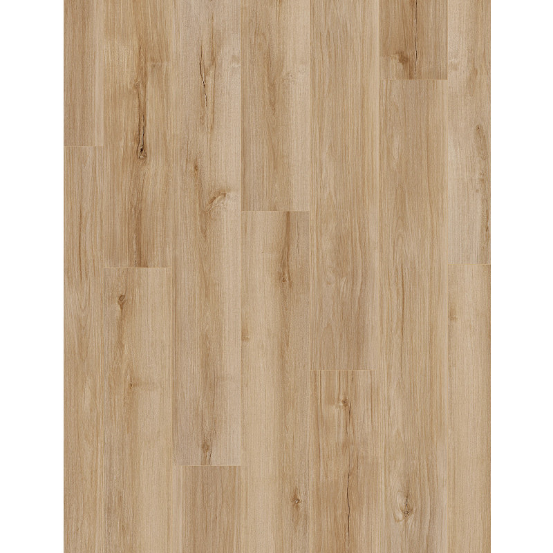 CORETEC PRO ENHANCED — LUCENT OAK in Lucent Oak by COREtec