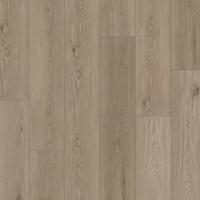CORETEC PRO ENHANCED — RADLEY OAK in Radley Oak by COREtec