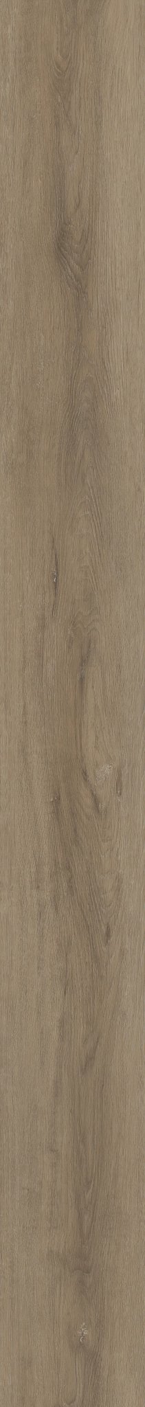 COREtec Originals - Ellidy Oak - Customer Favorite