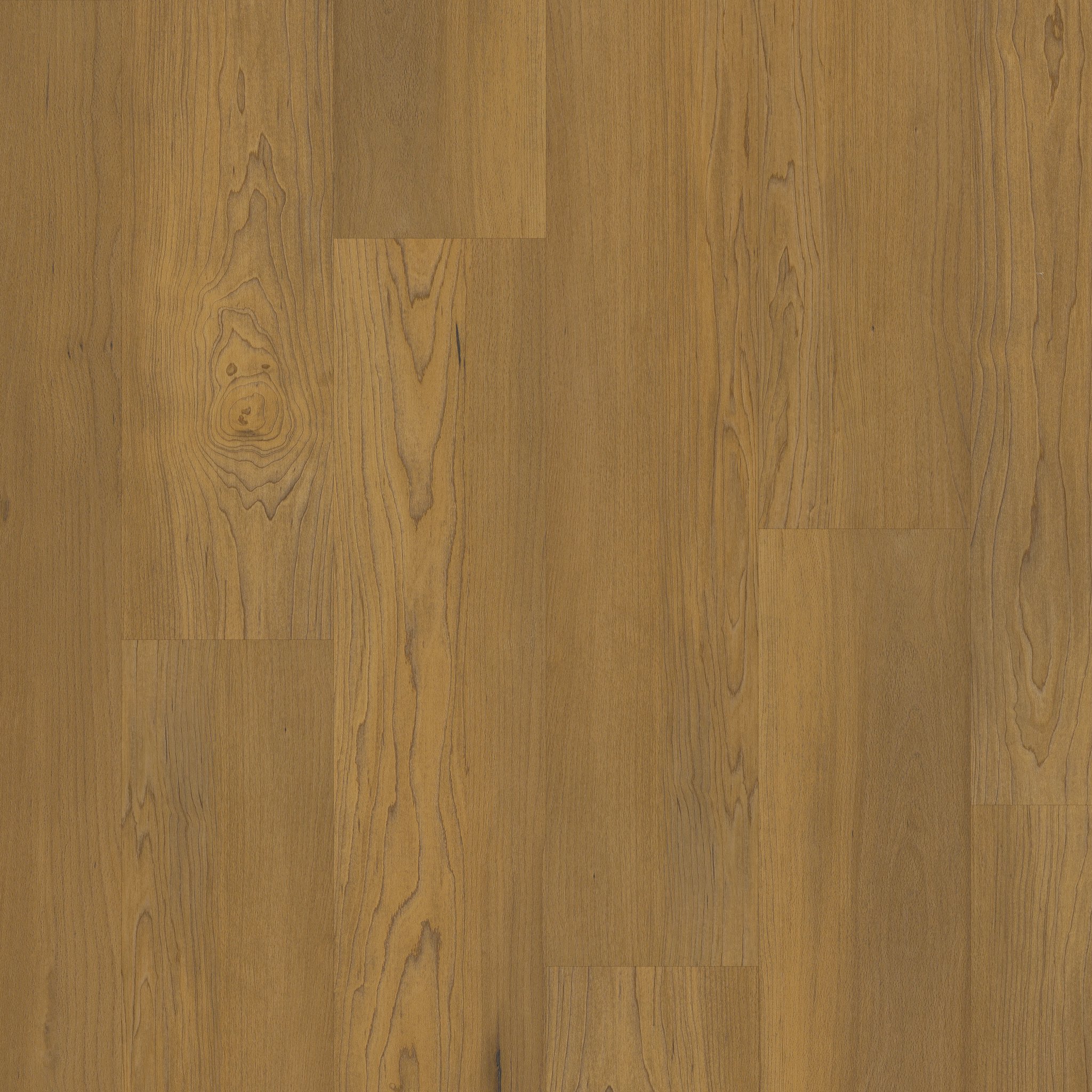 mapleページ COREtec Pro - Warwick Maple - Designer's Choice