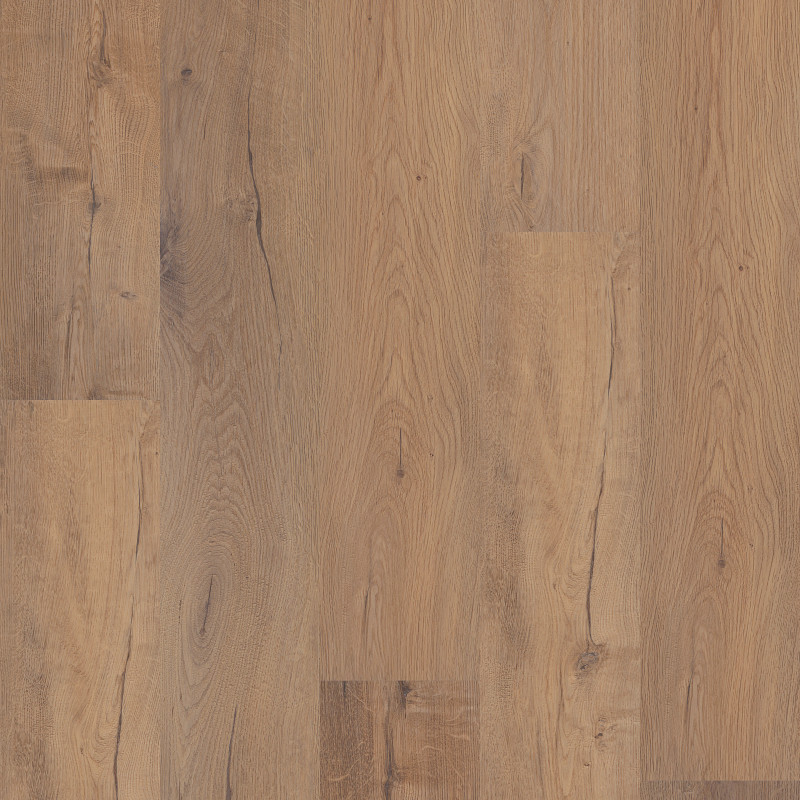 CORETEC ORIGINALS PREMIUM — SAND DOLLAR OAK in Sand Dollar Oak by COREtec