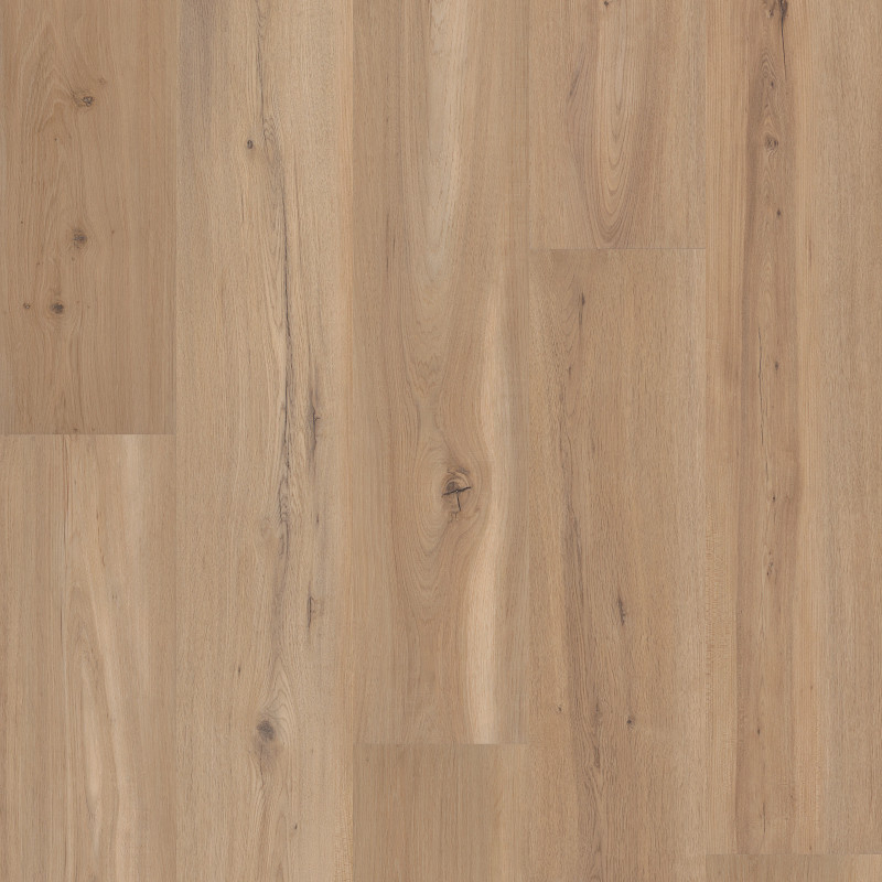 CORETEC ORIGINALS PREMIUM — BLONDE OAK in Blonde Oak by COREtec