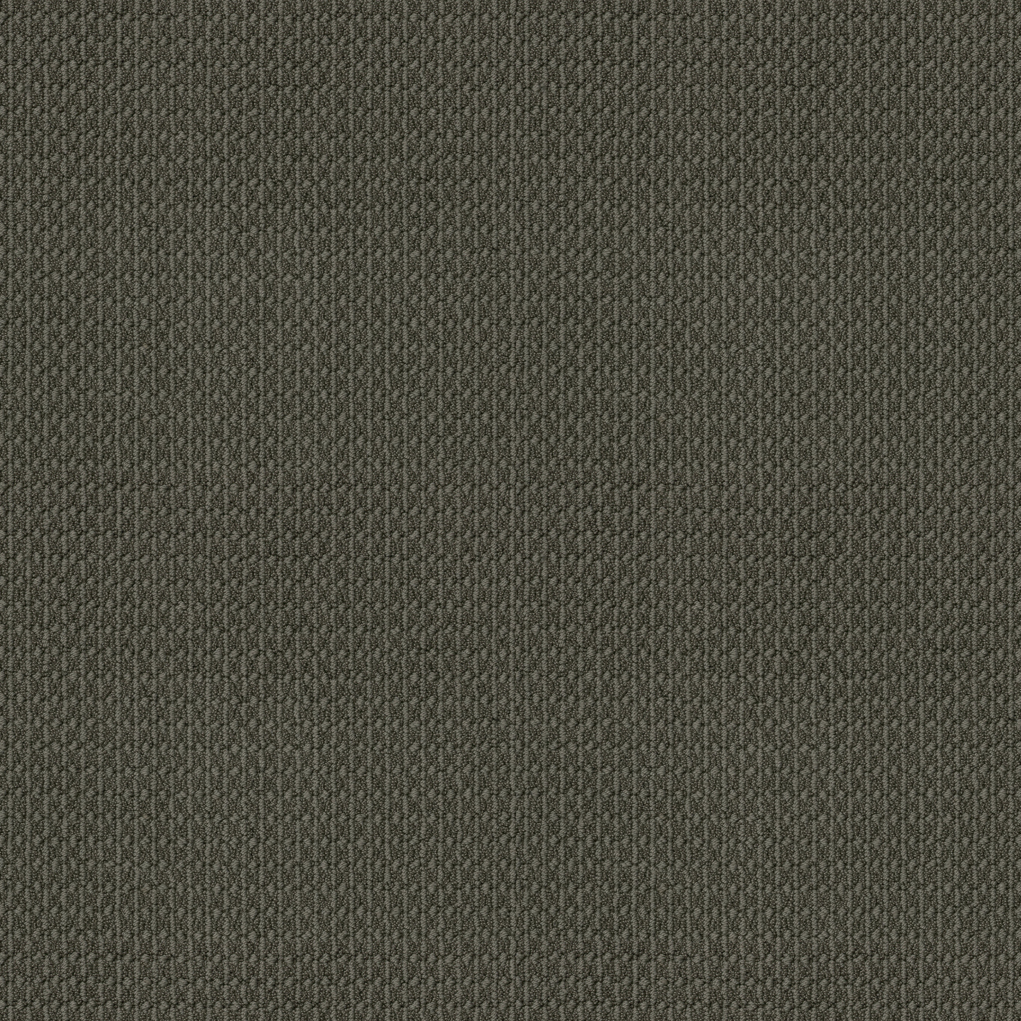 south easton garden gate carpets Z35AW_00338 Shaw Builder Flooring