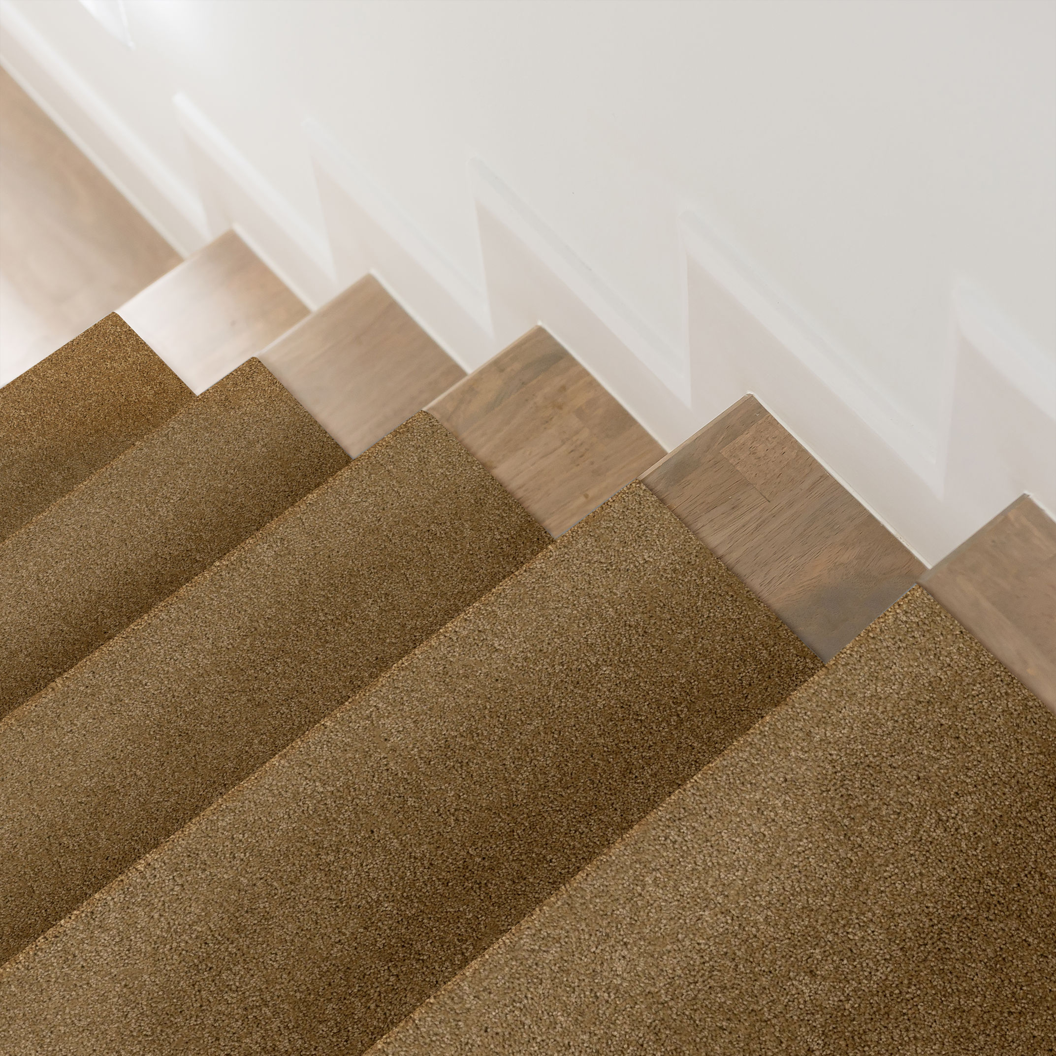 SERENDIPITY I TIGER EYE ROOM