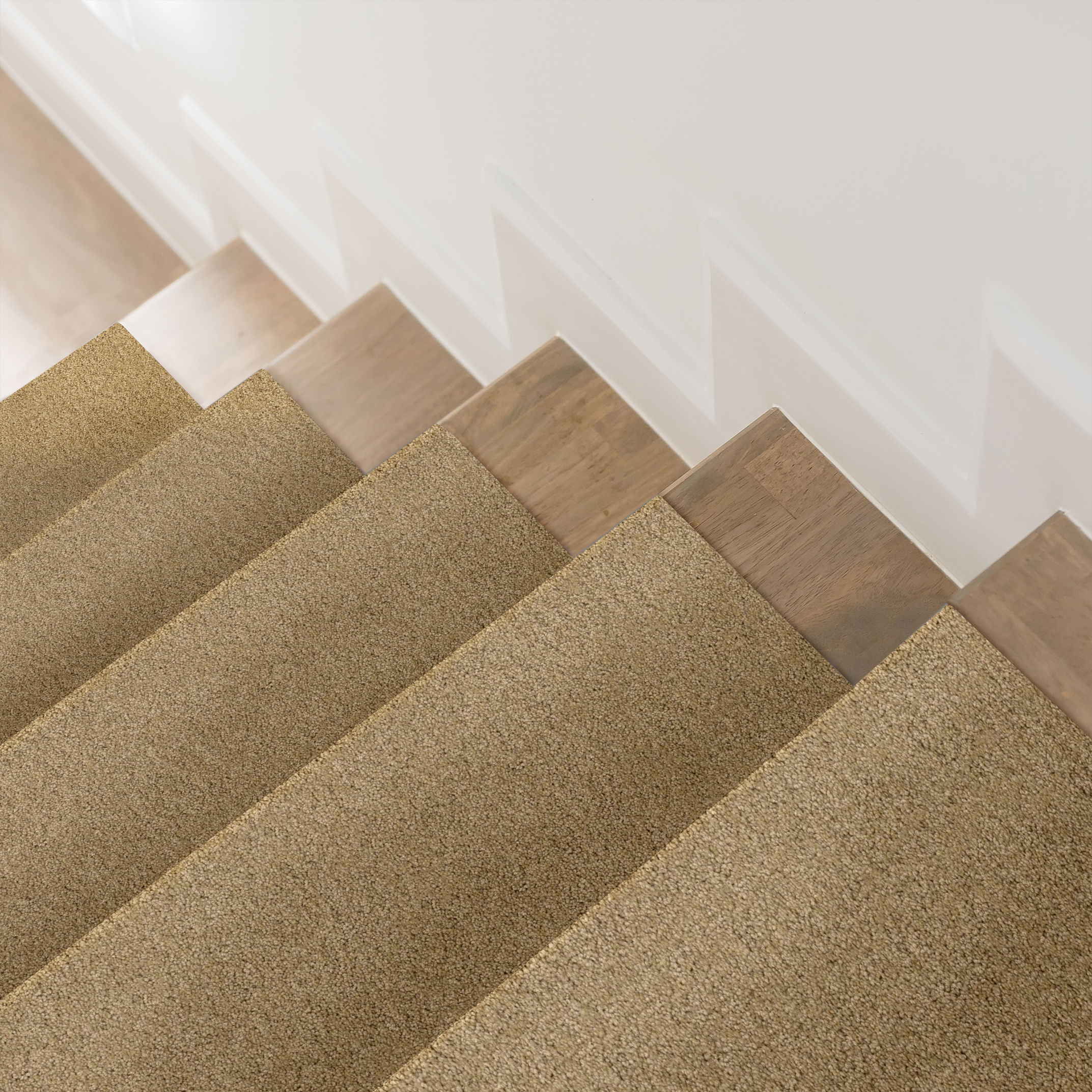 SERENDIPITY I MACADAMIA ROOM