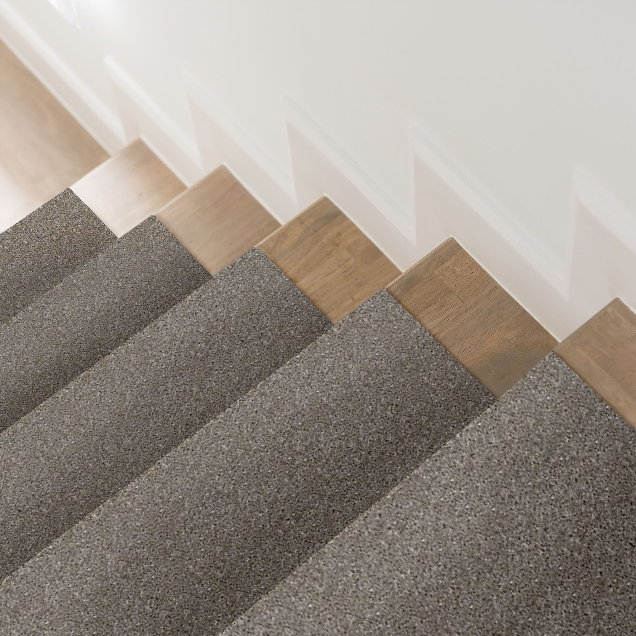 SERENDIPITY I TITANIUM ROOM