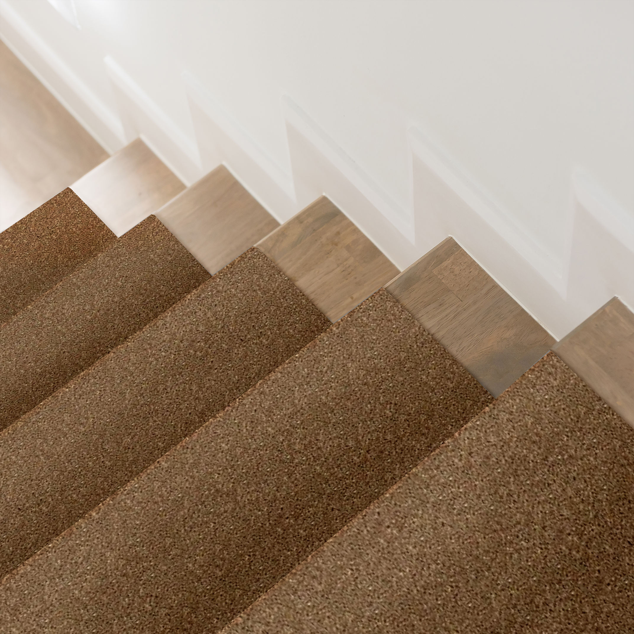 SERENDIPITY I BRONZE GLOW ROOM