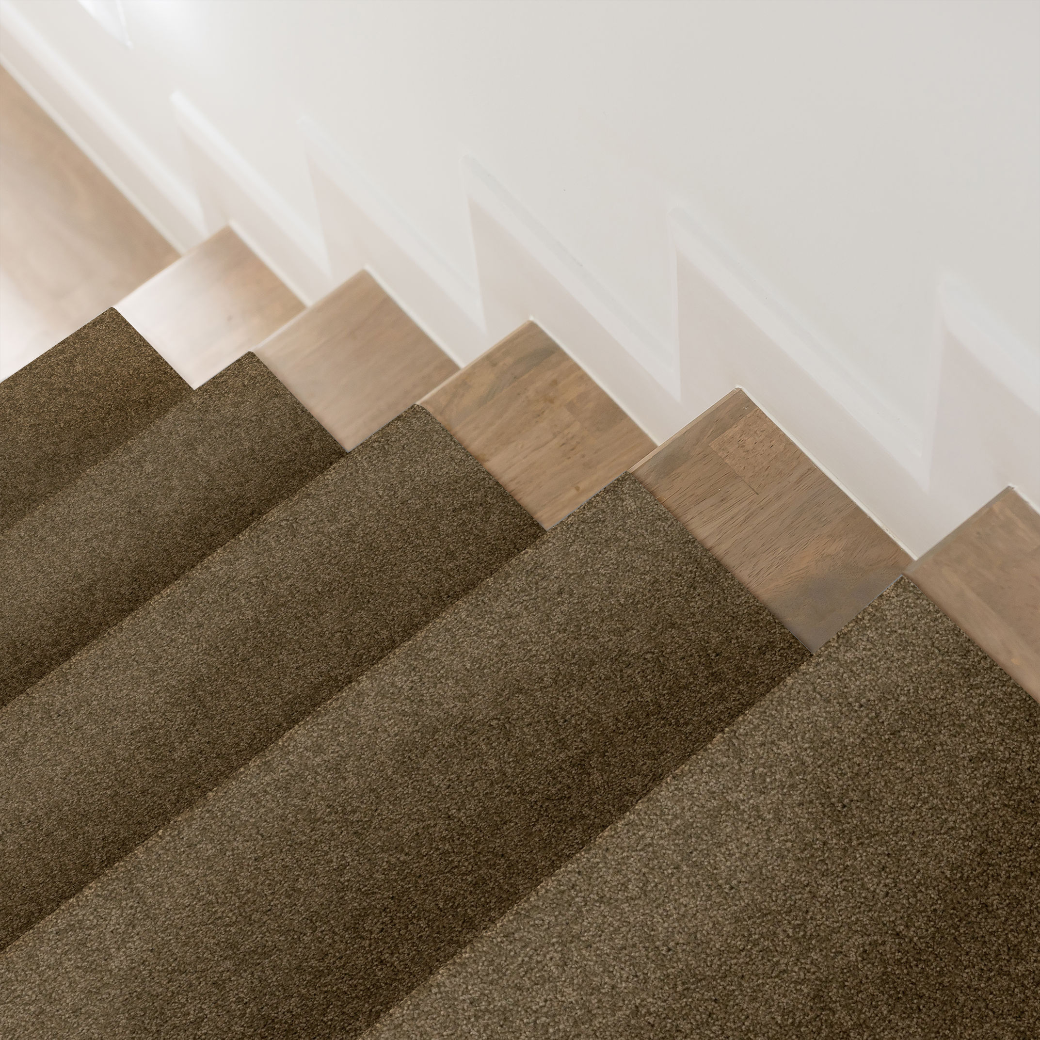 SERENDIPITY I VICUNA ROOM