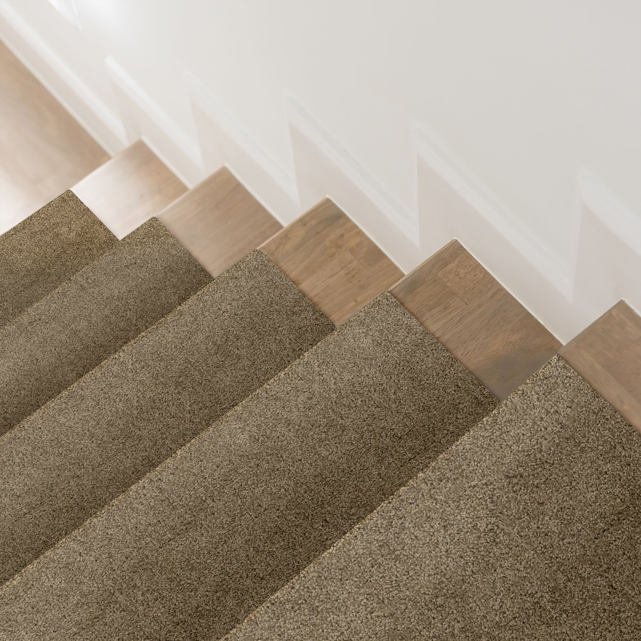 SERENDIPITY I SABLE ROOM