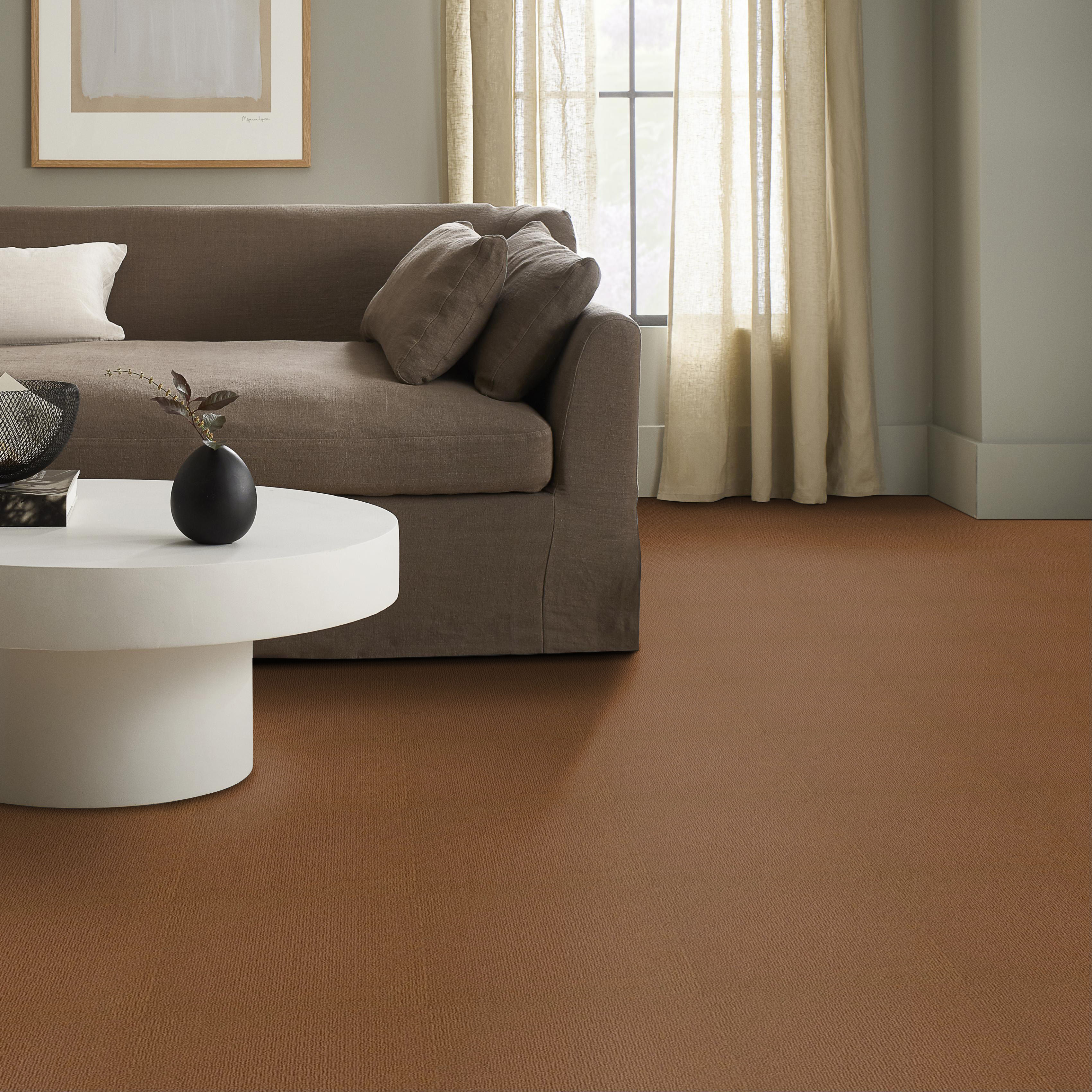 CASUAL MOOD MODERN BROWN ROOM
