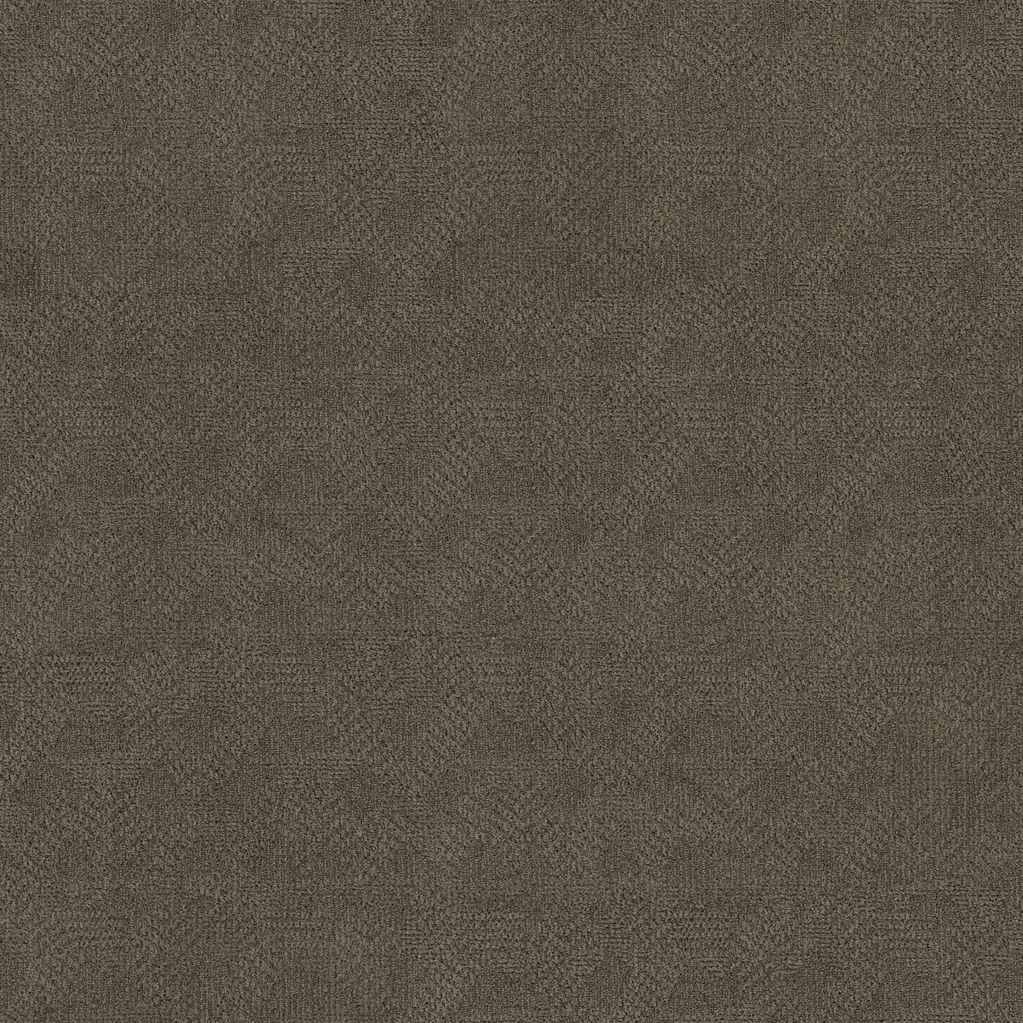 Razzy - Apparition - ZB222_00577