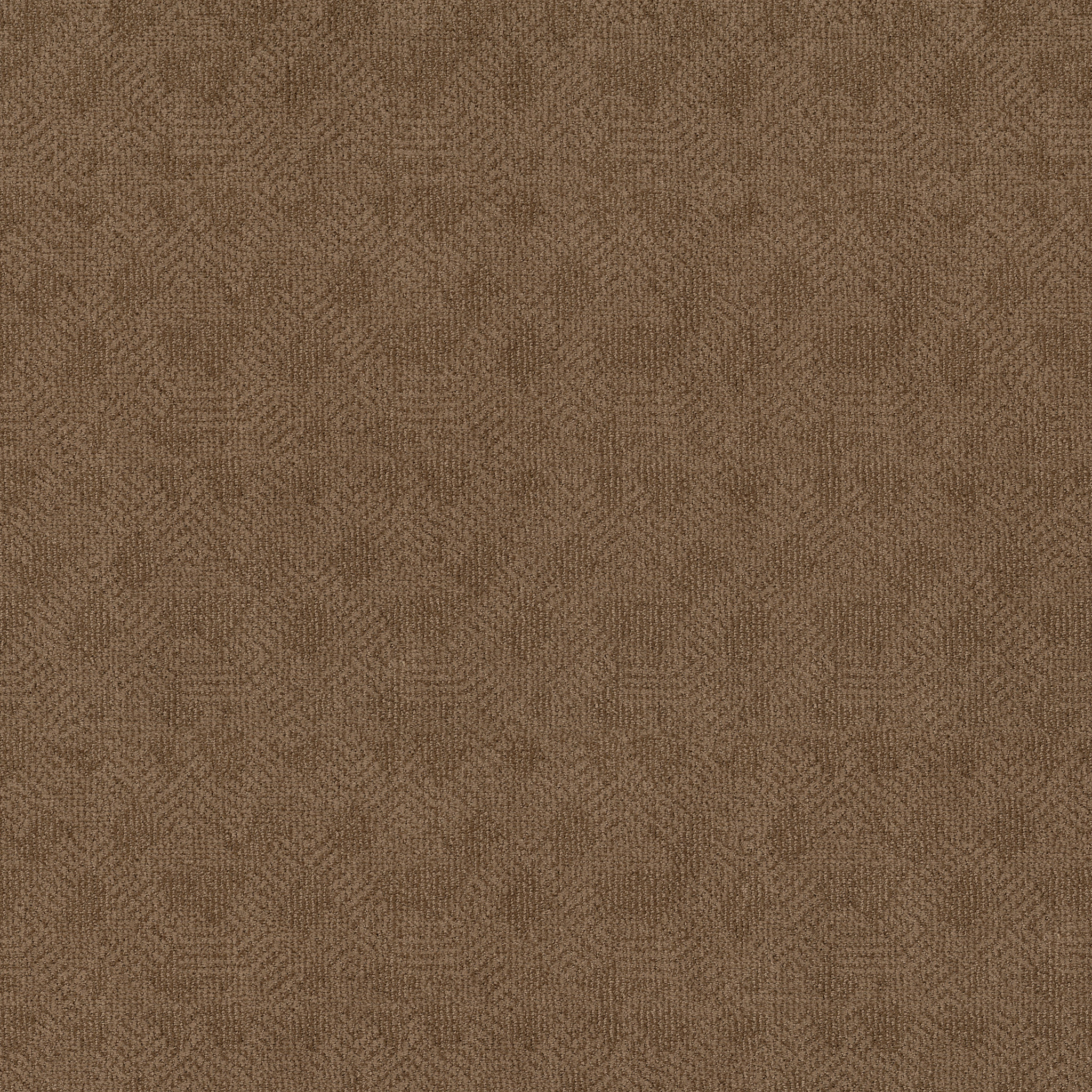 Razzy - Desert Beach - ZB222_00765