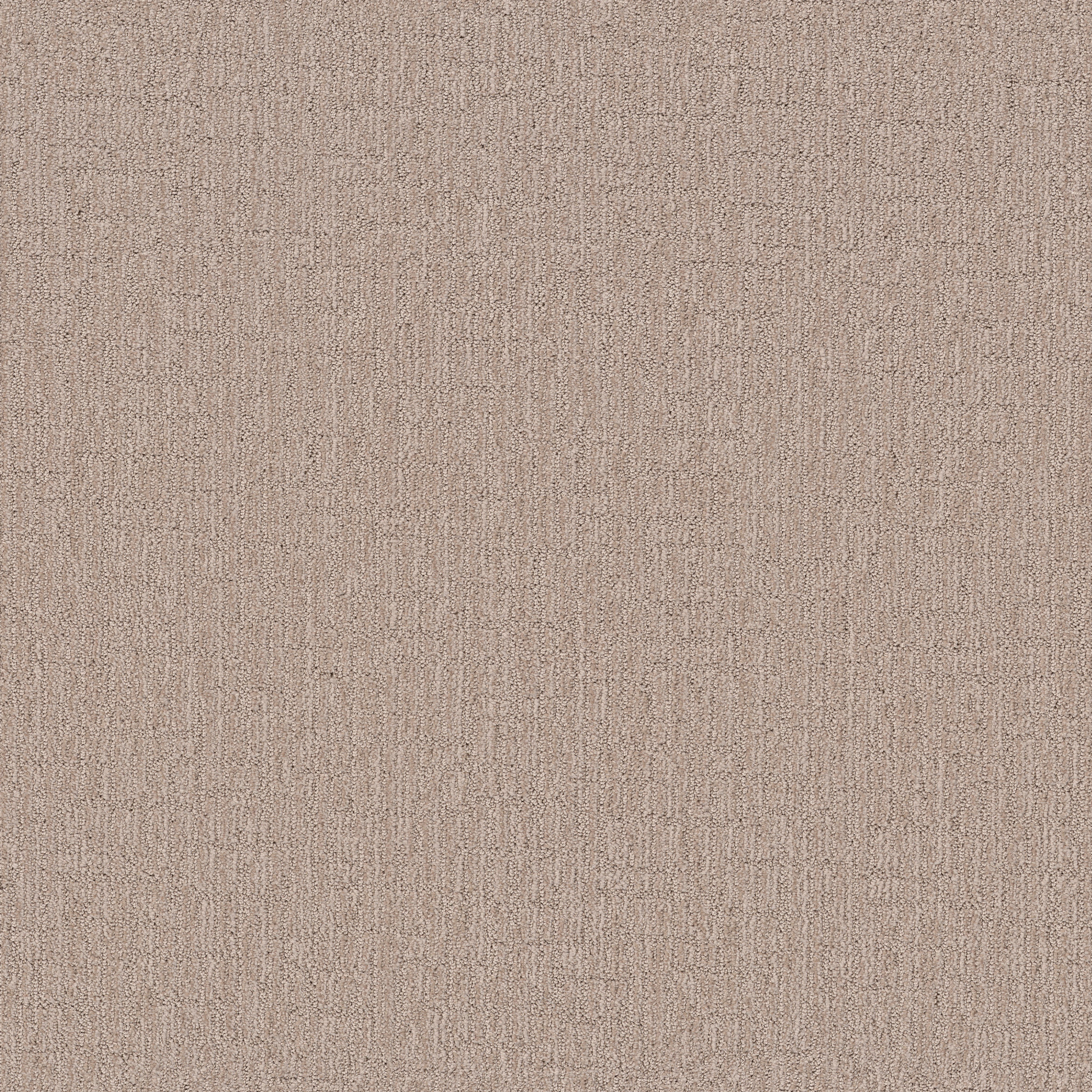 Arizona Tan