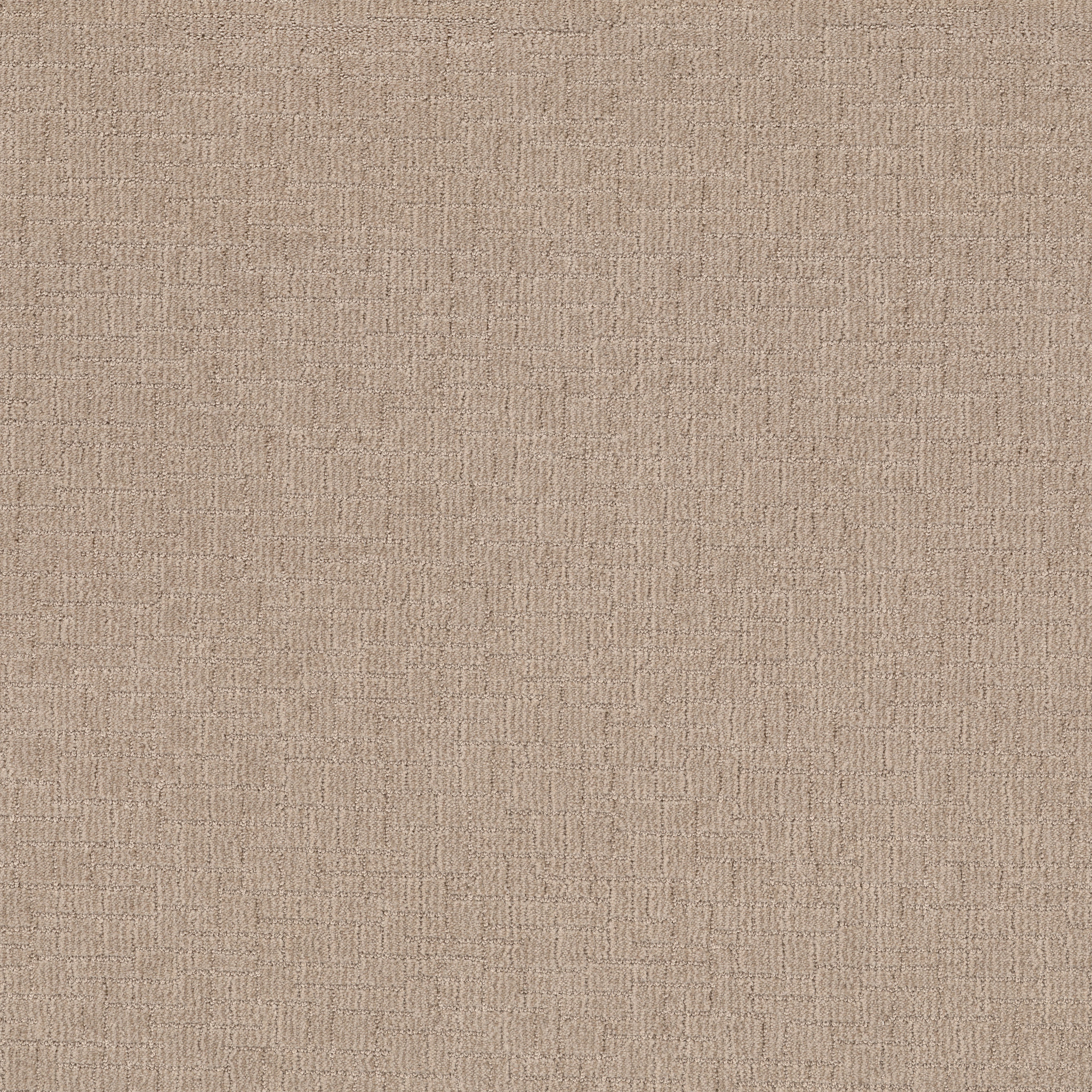 Crusader-Mystic Beige-ZB225_00123