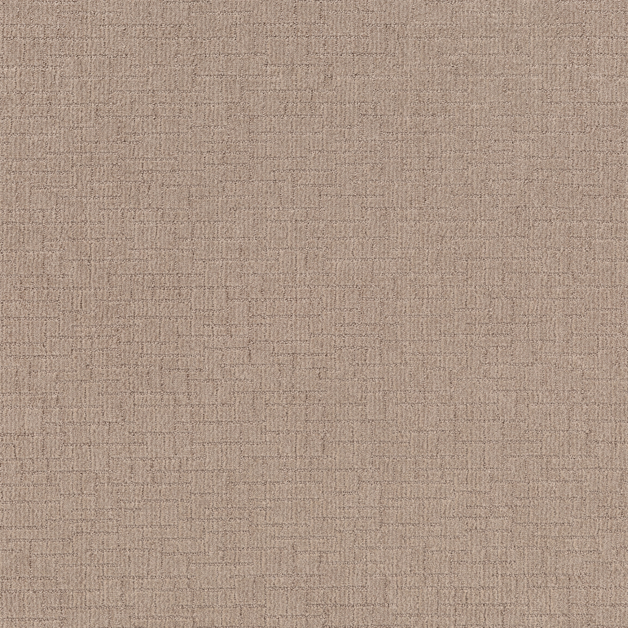 Crusader-Arizona Tan-ZB225_00125