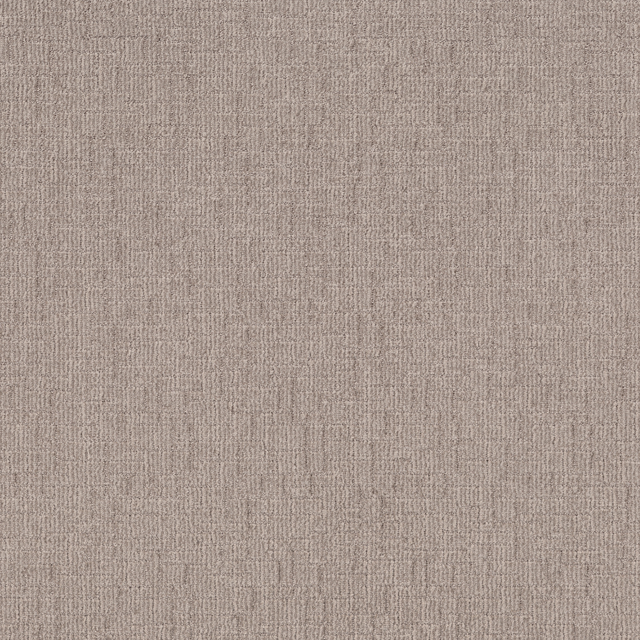 Crusader-Antique Pearl-ZB225_00172