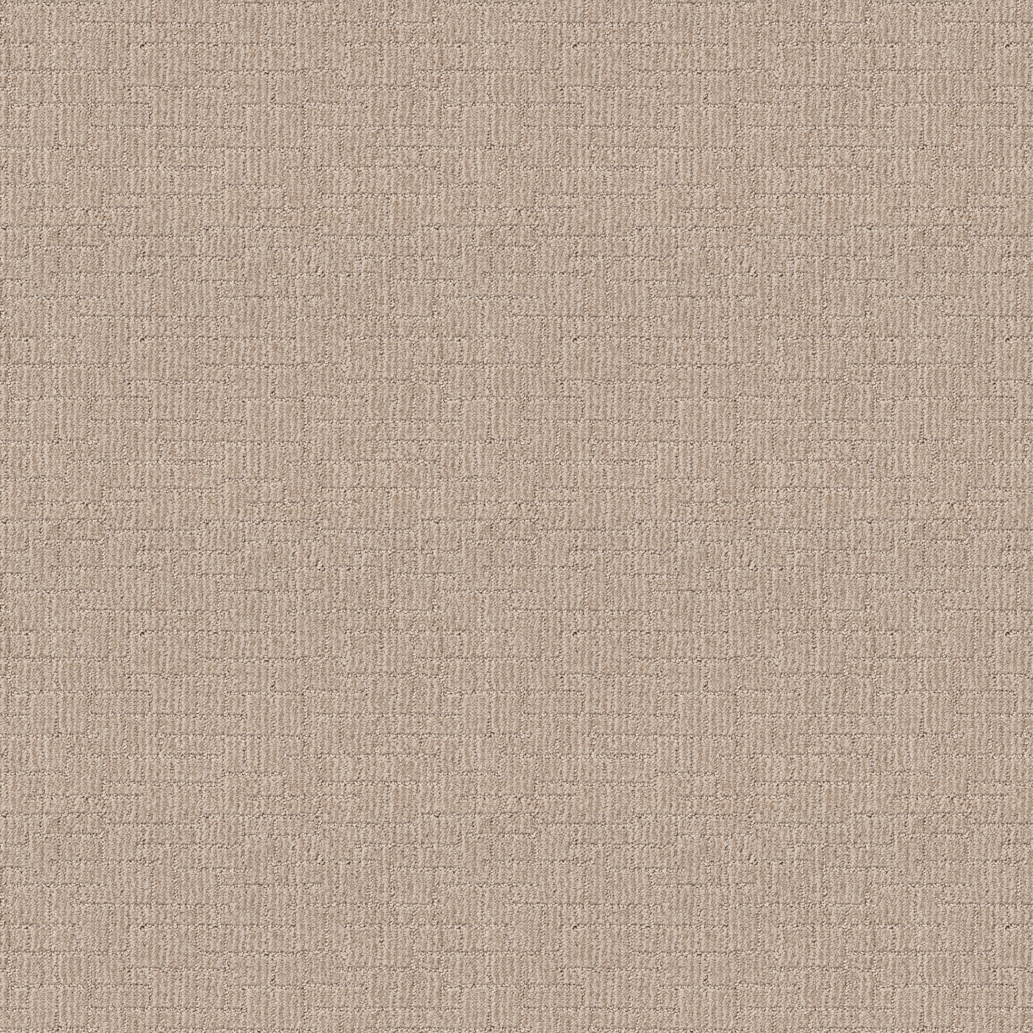 Crusader-Sunlight-ZB225_00222