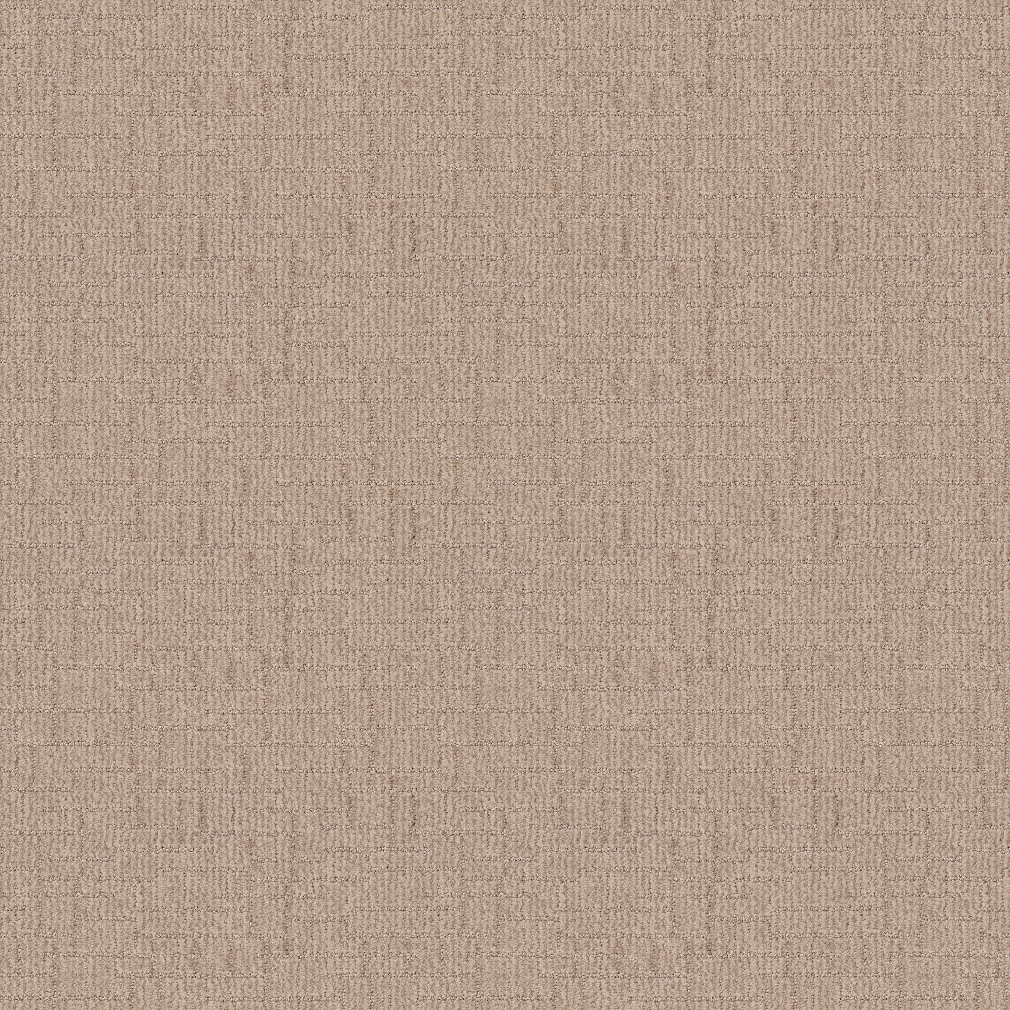 Crusader-Straw-ZB225_00272