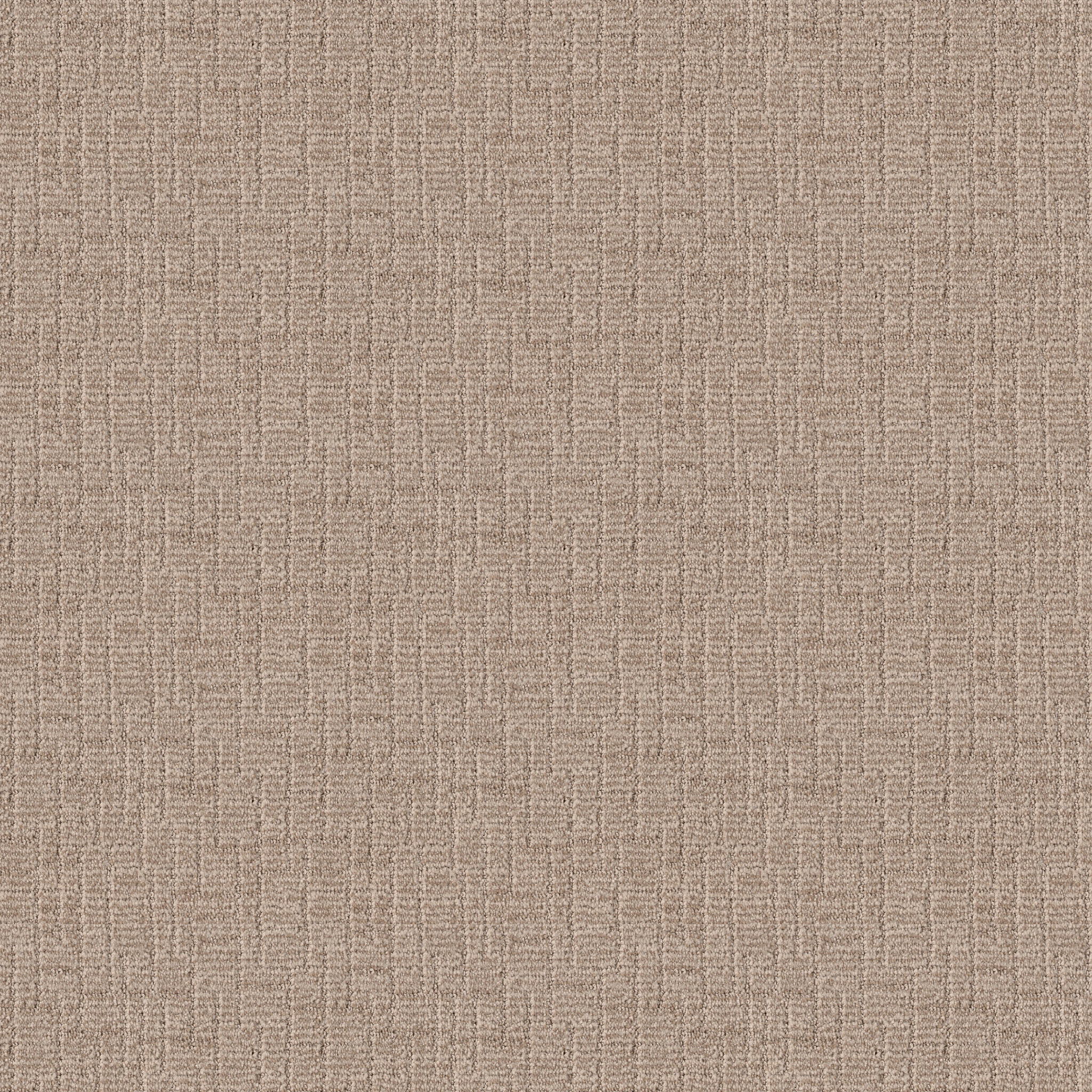 Crusader-Peanut Shell-ZB225_00273