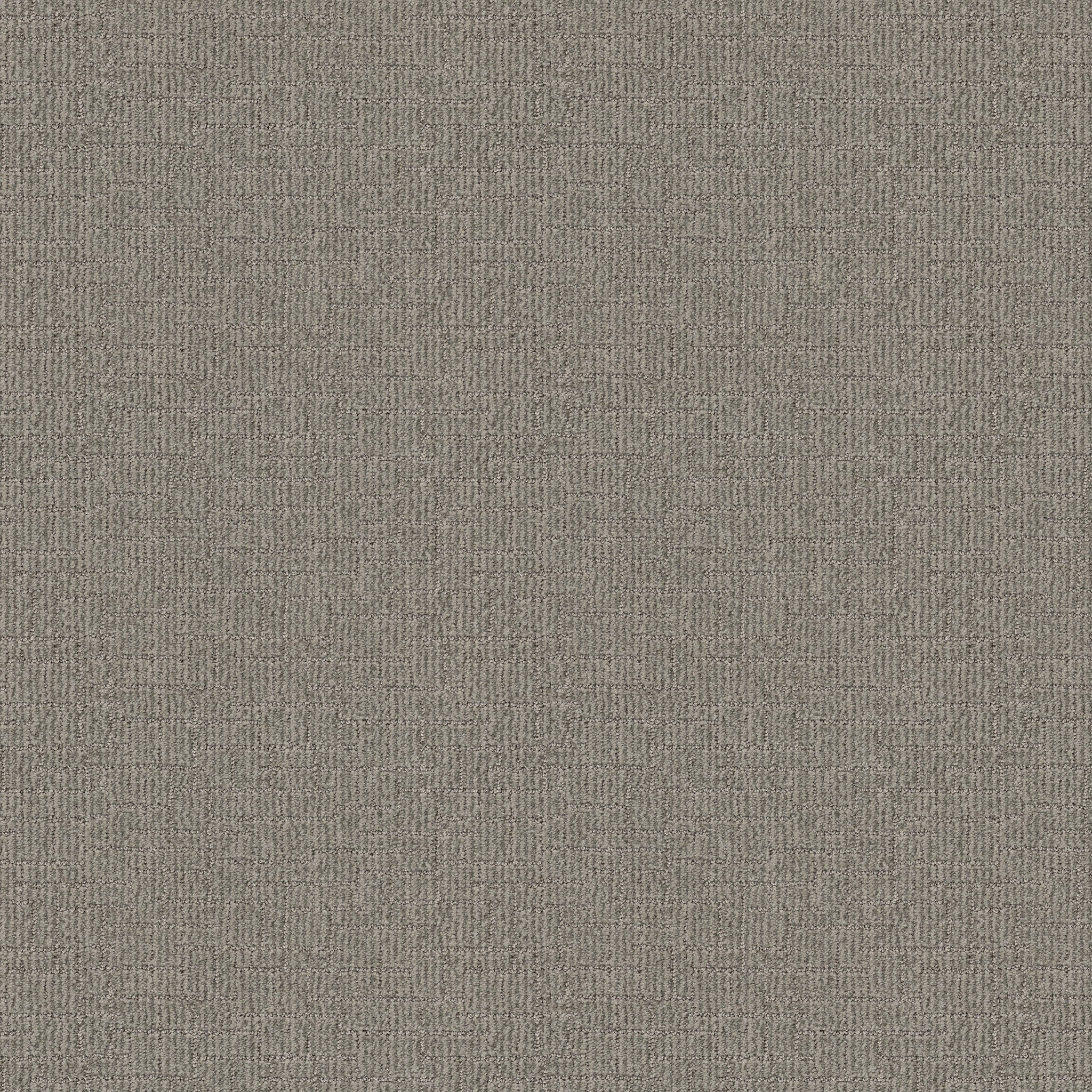 Crusader-Sage-ZB225_00352