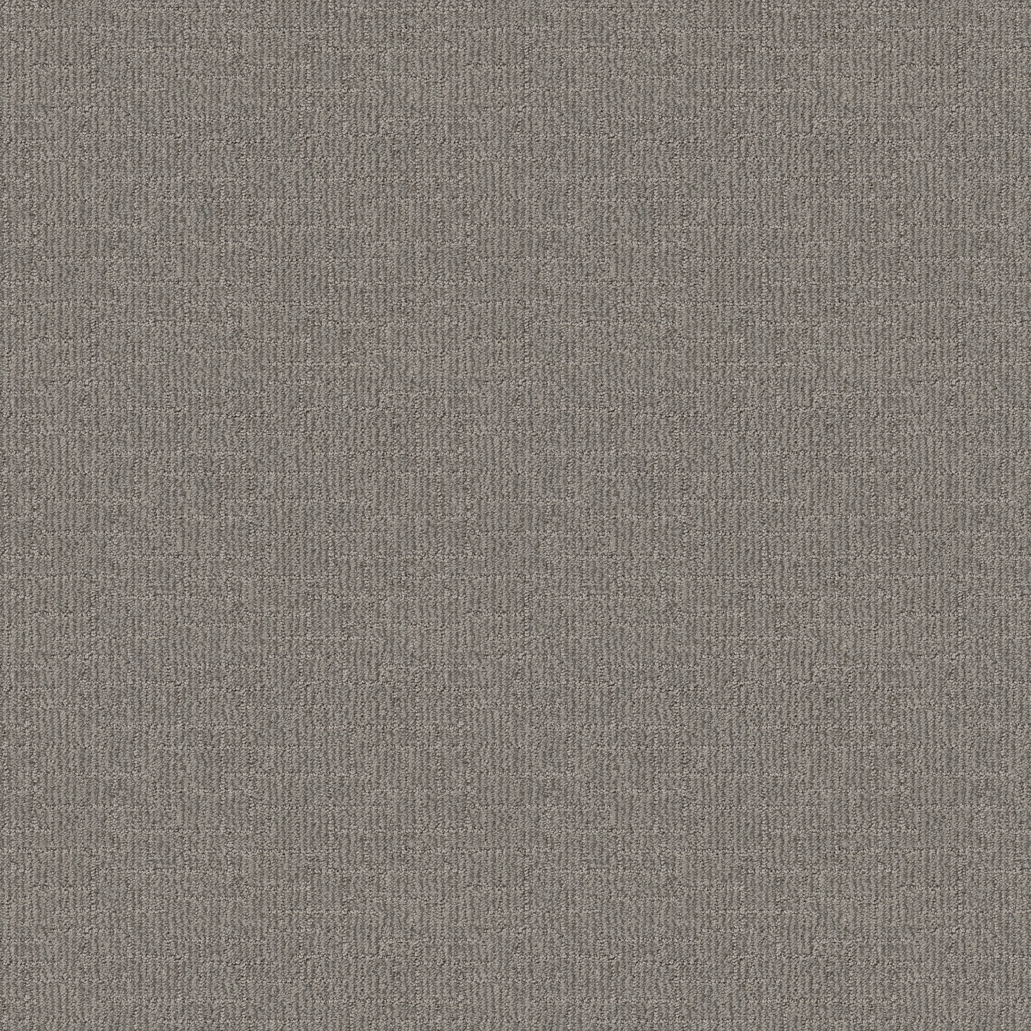 Crusader - Horizon - ZB225_00353