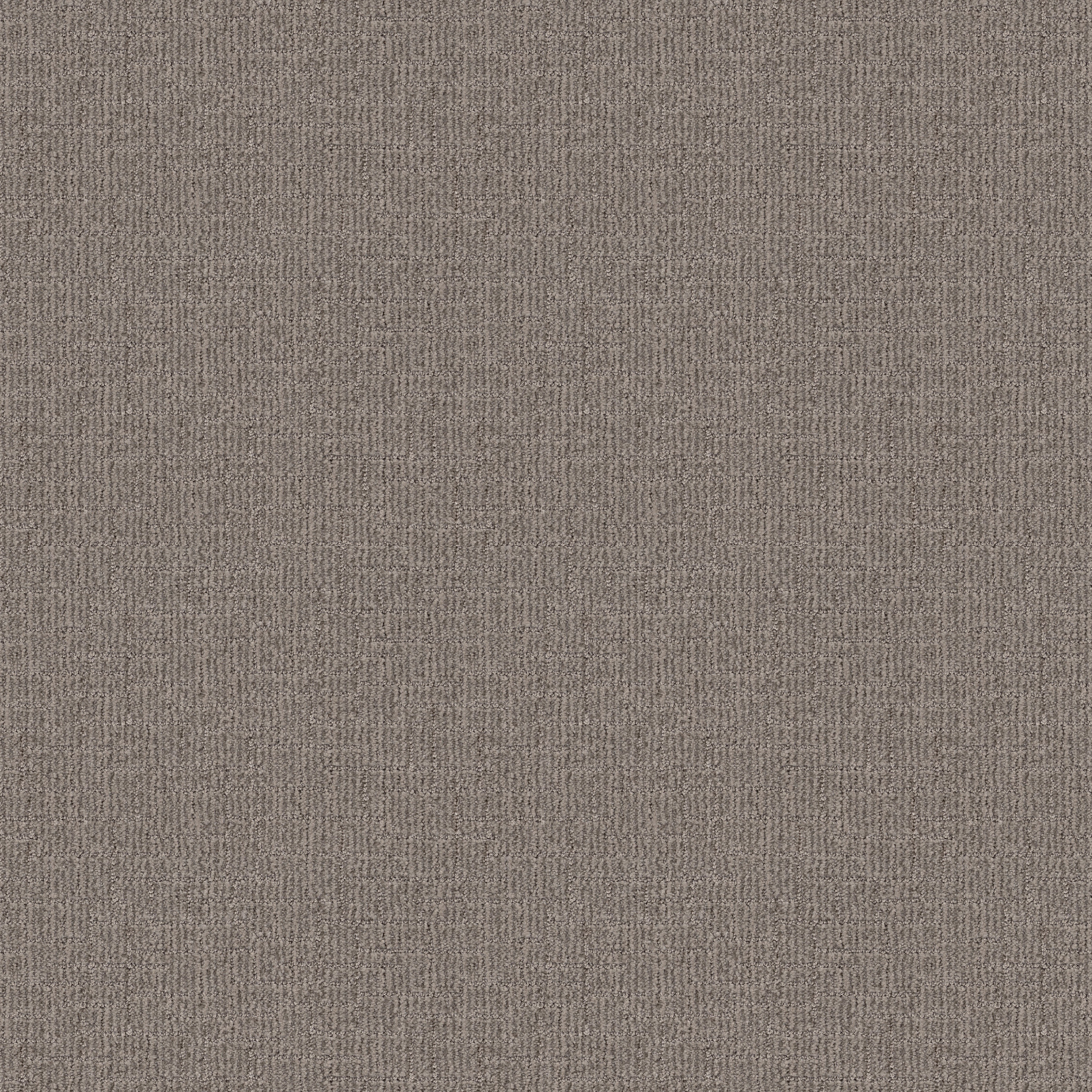 Crusader-Calm-ZB225_00512