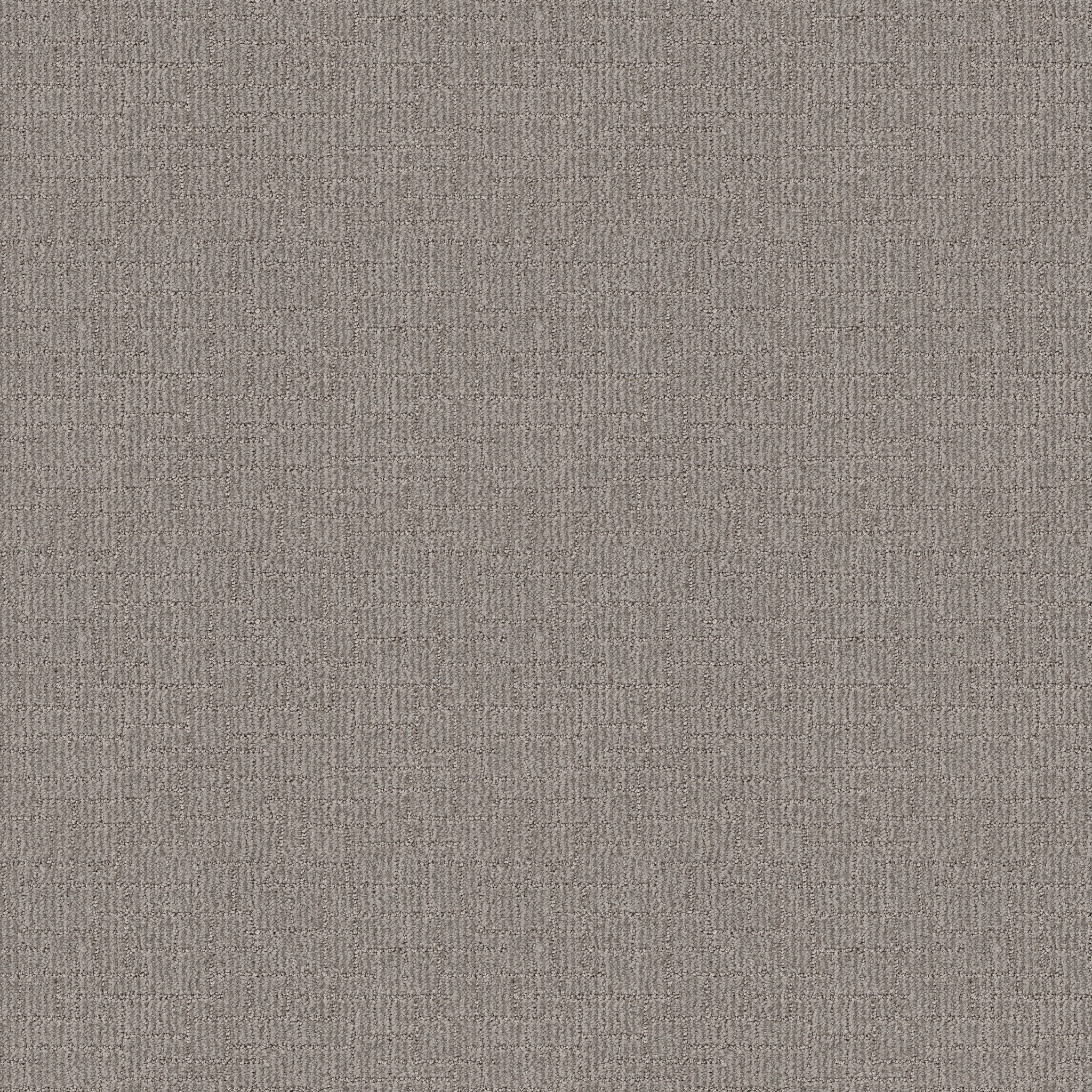 Crusader-Moonshine-ZB225_00523