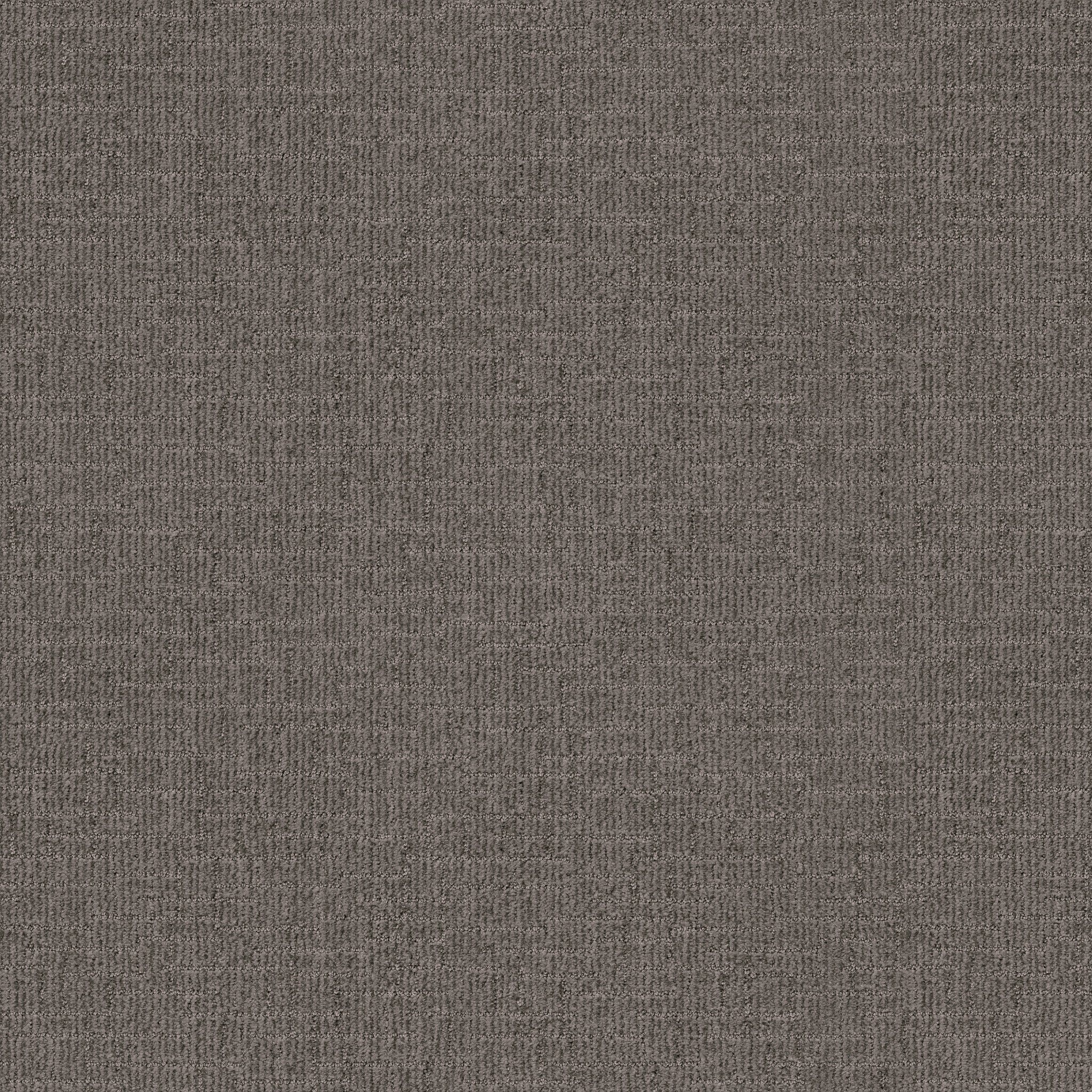 Crusader - Storm Cloud - ZB225_00537