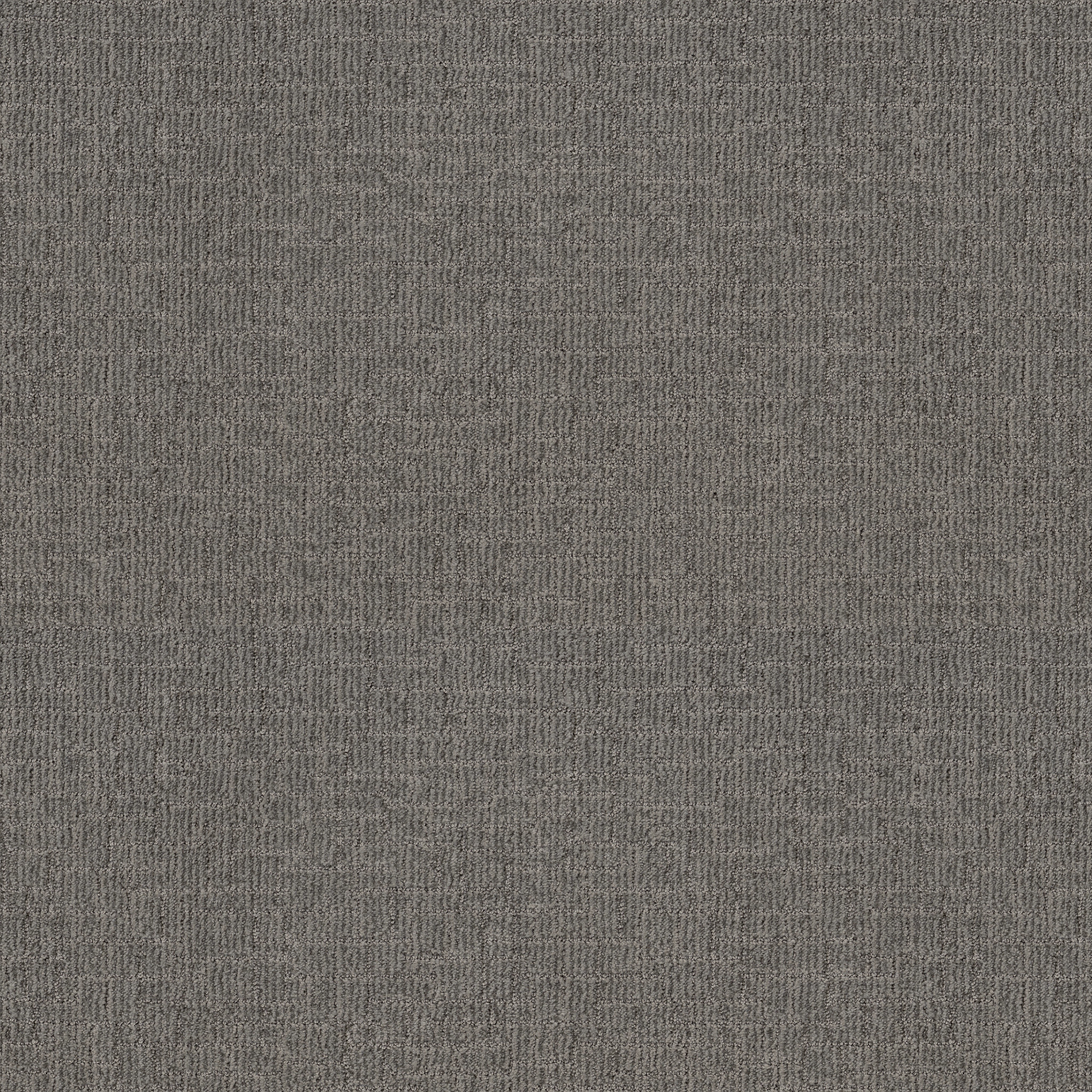 Crusader-Sharkskin-ZB225_00557