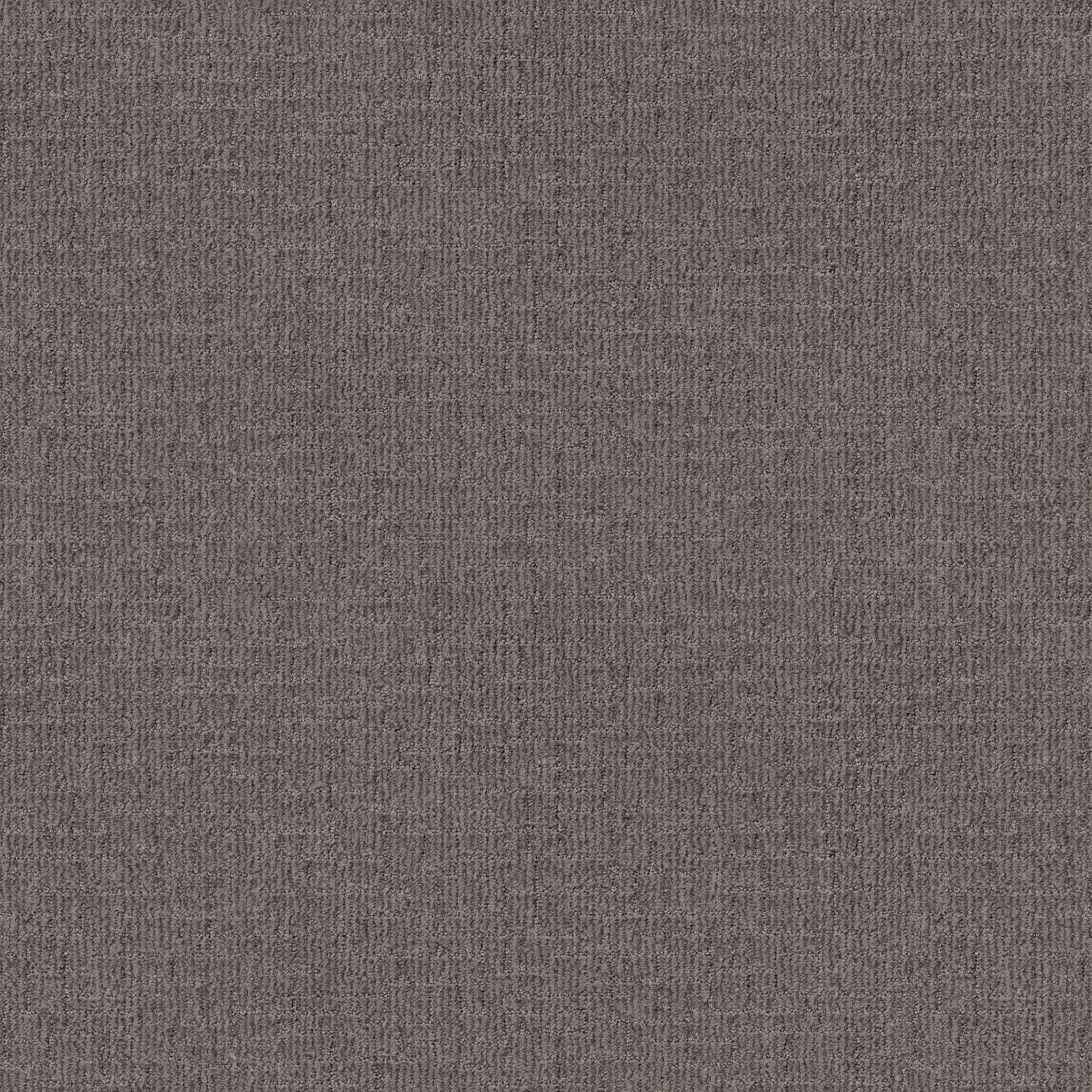 Crusader-Portland-ZB225_00576